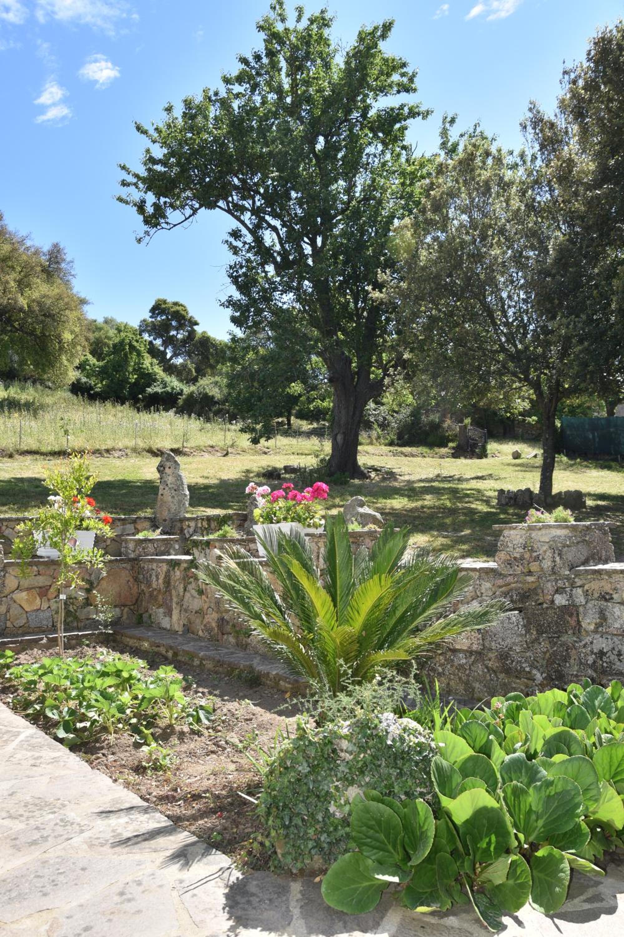 B&B I Menhir
