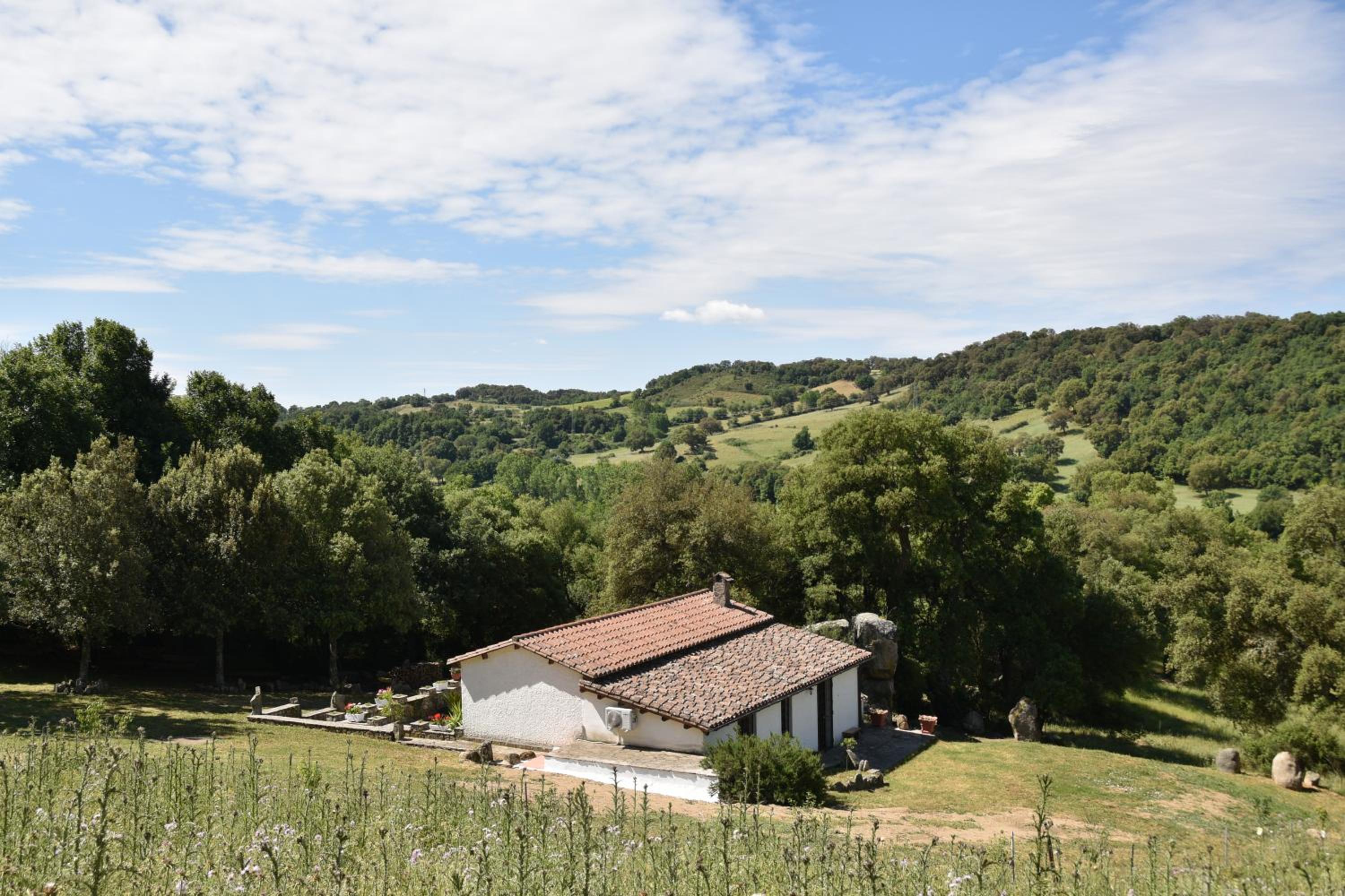 B&B I Menhir
