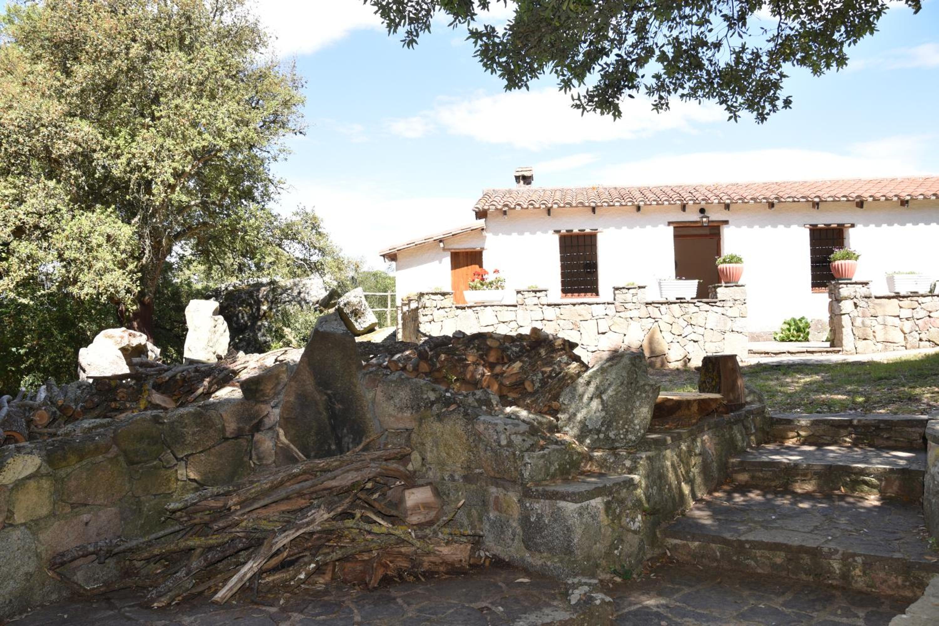 B&B I Menhir