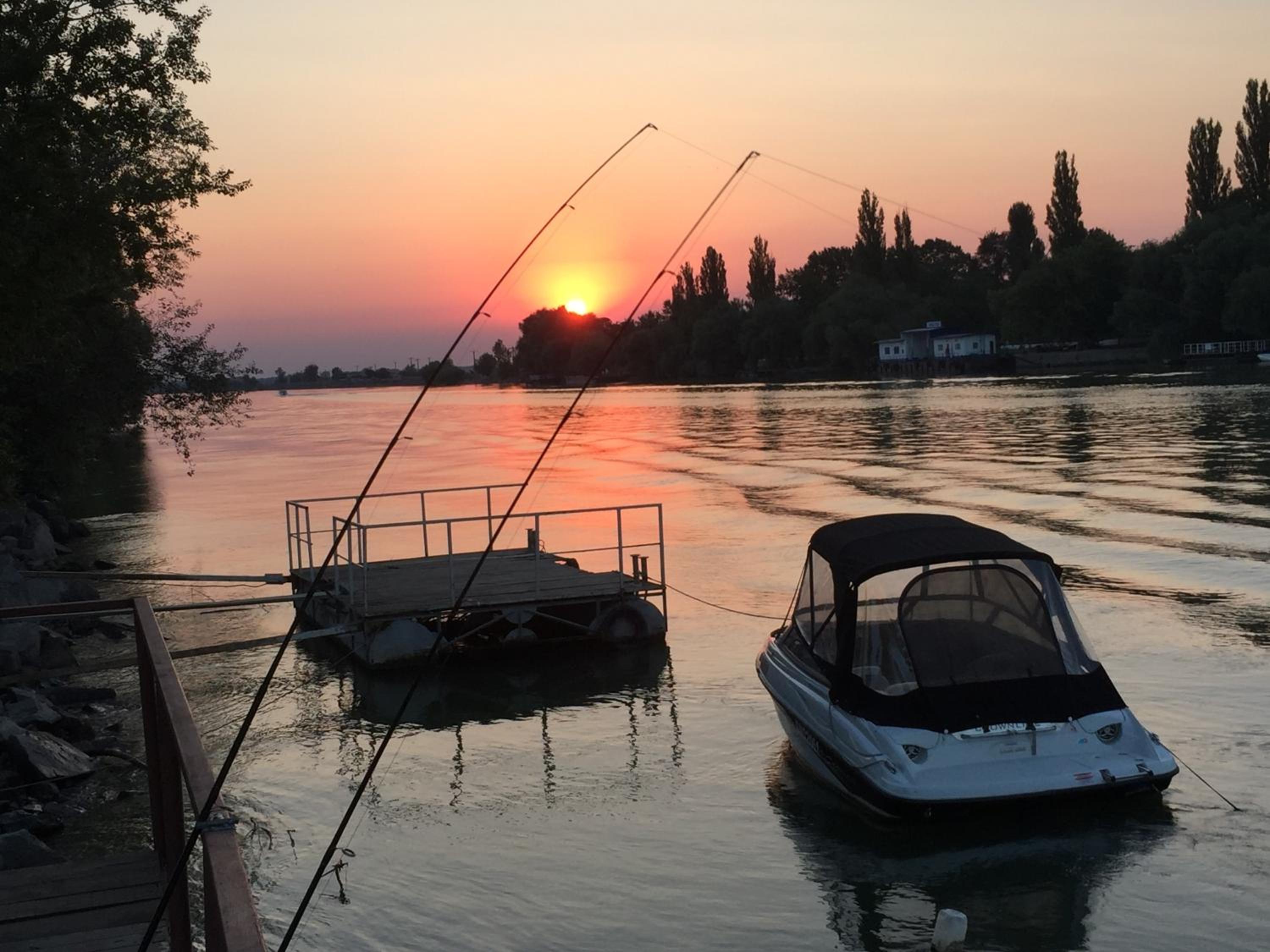 Vulturul Pescar