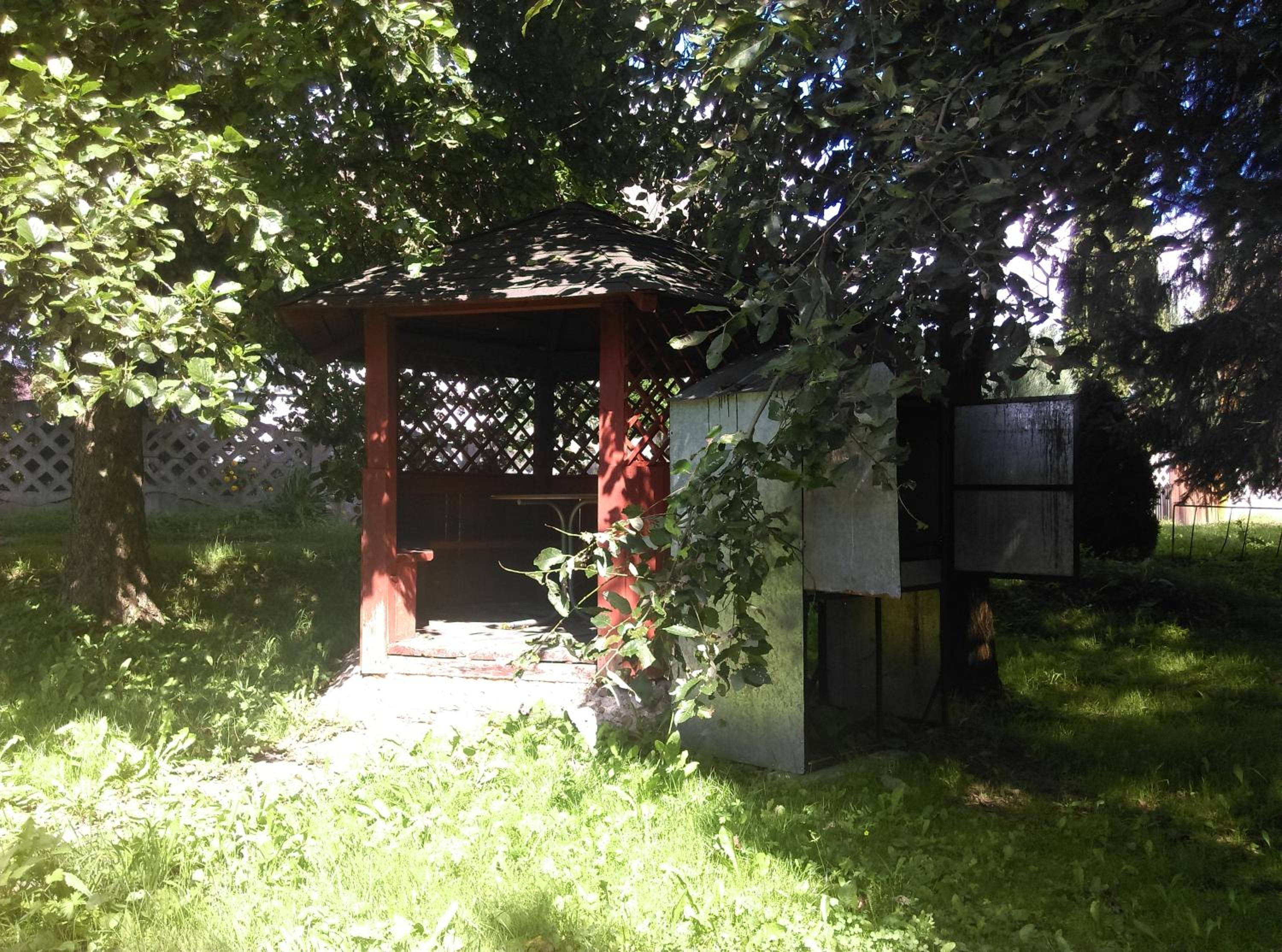 Photo 8