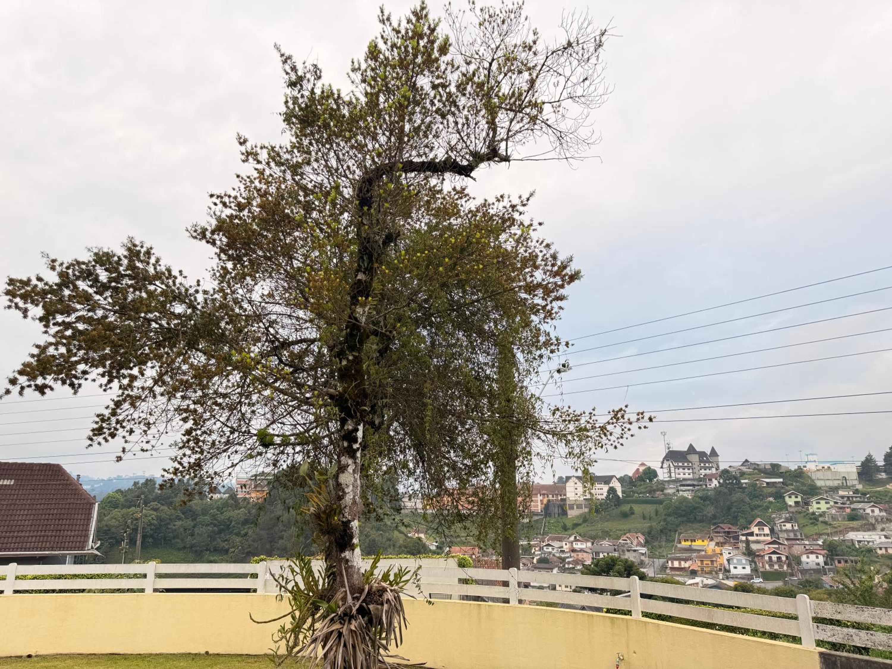 Pousada Villa Monte Fiori by HospedaHost