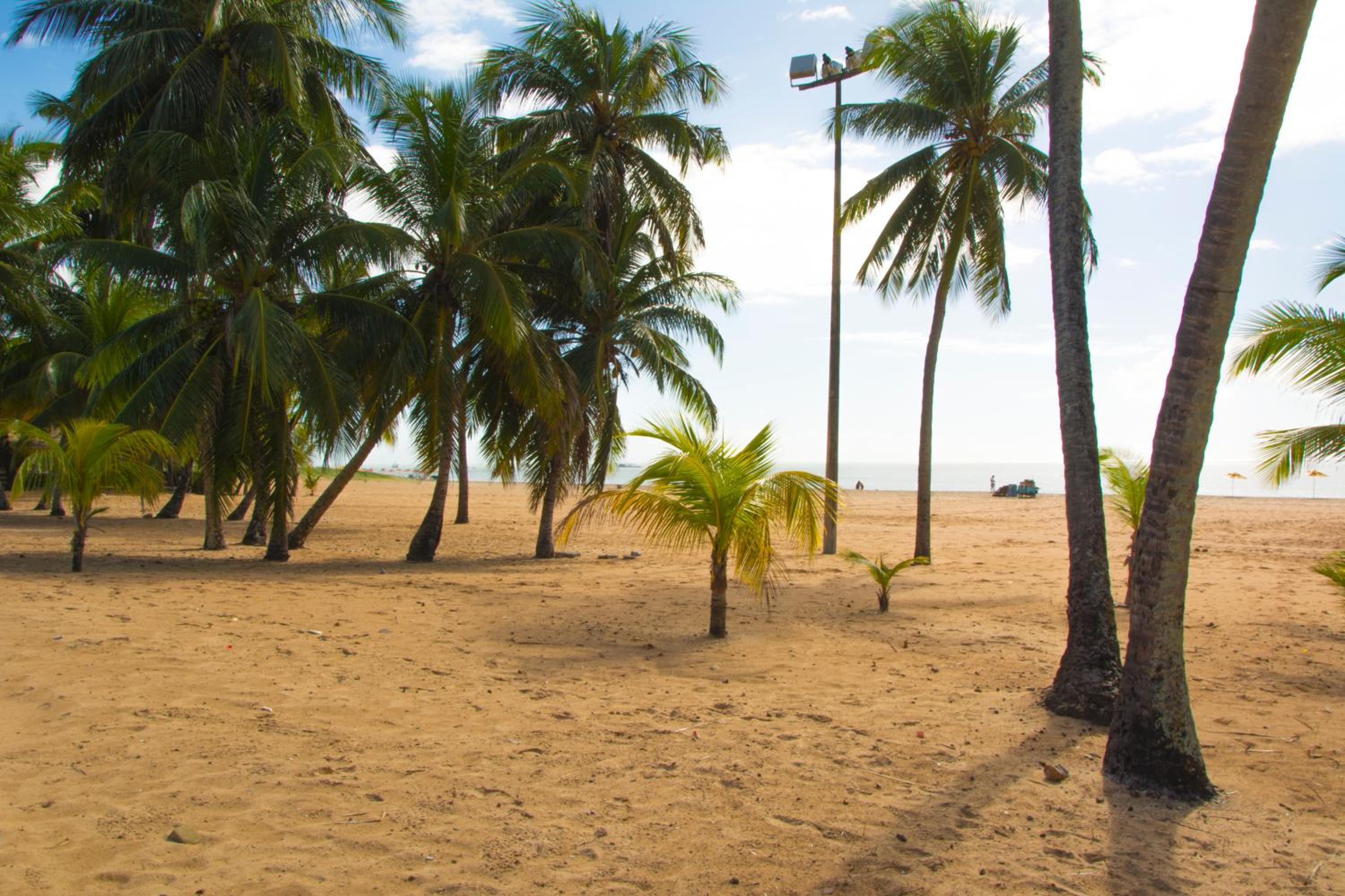 children's play area