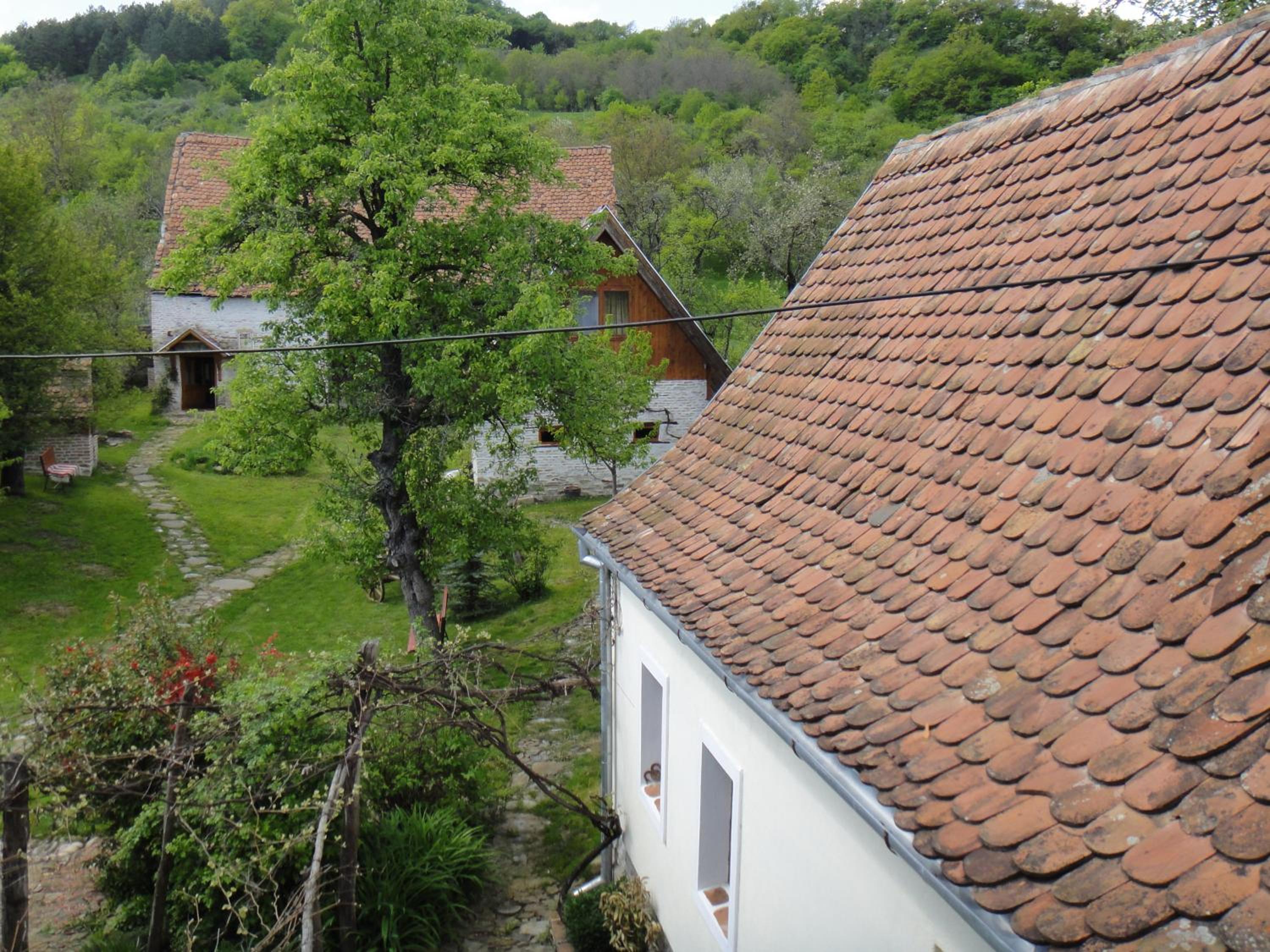 Photo 18
