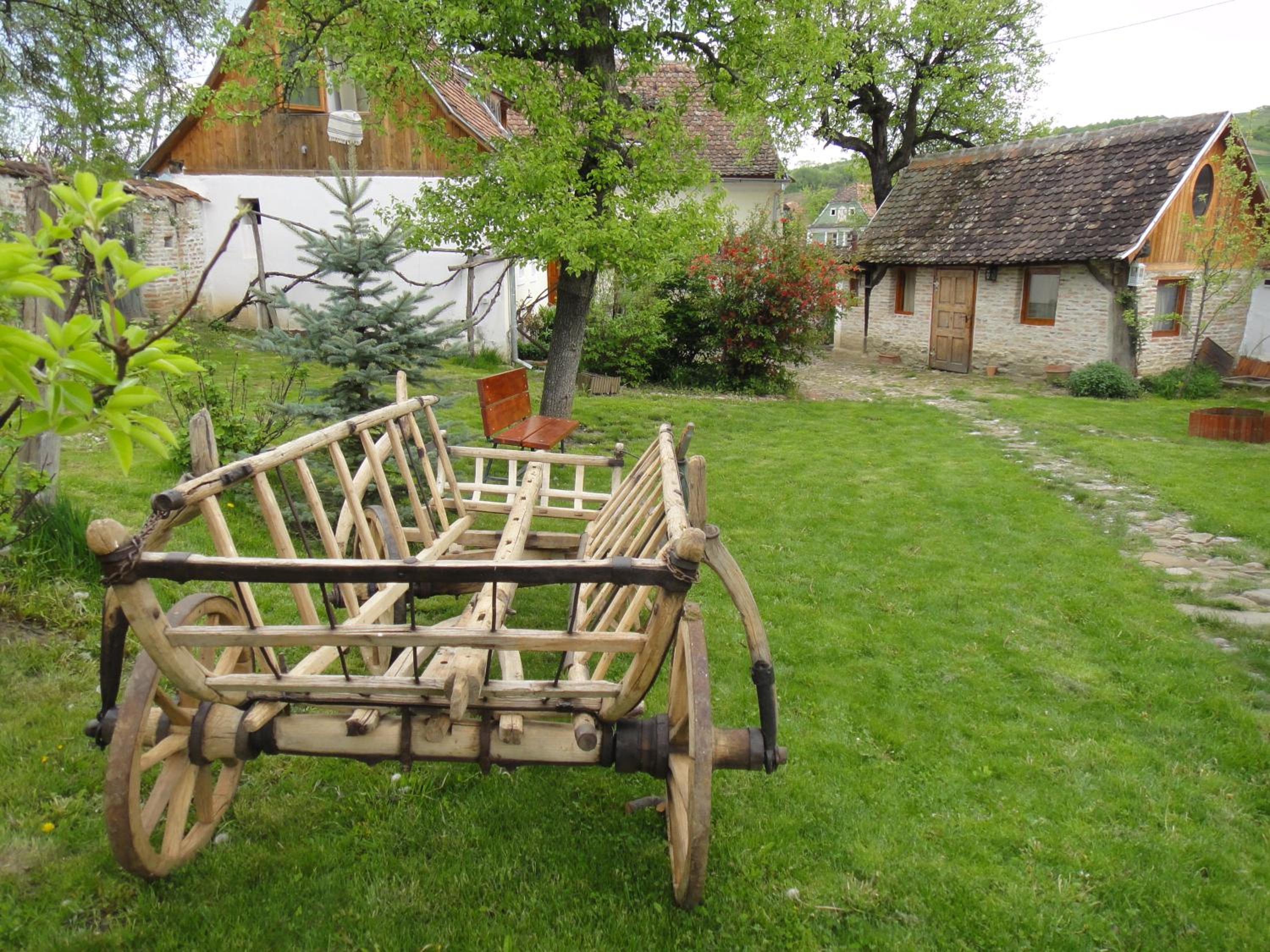 Photo 21
