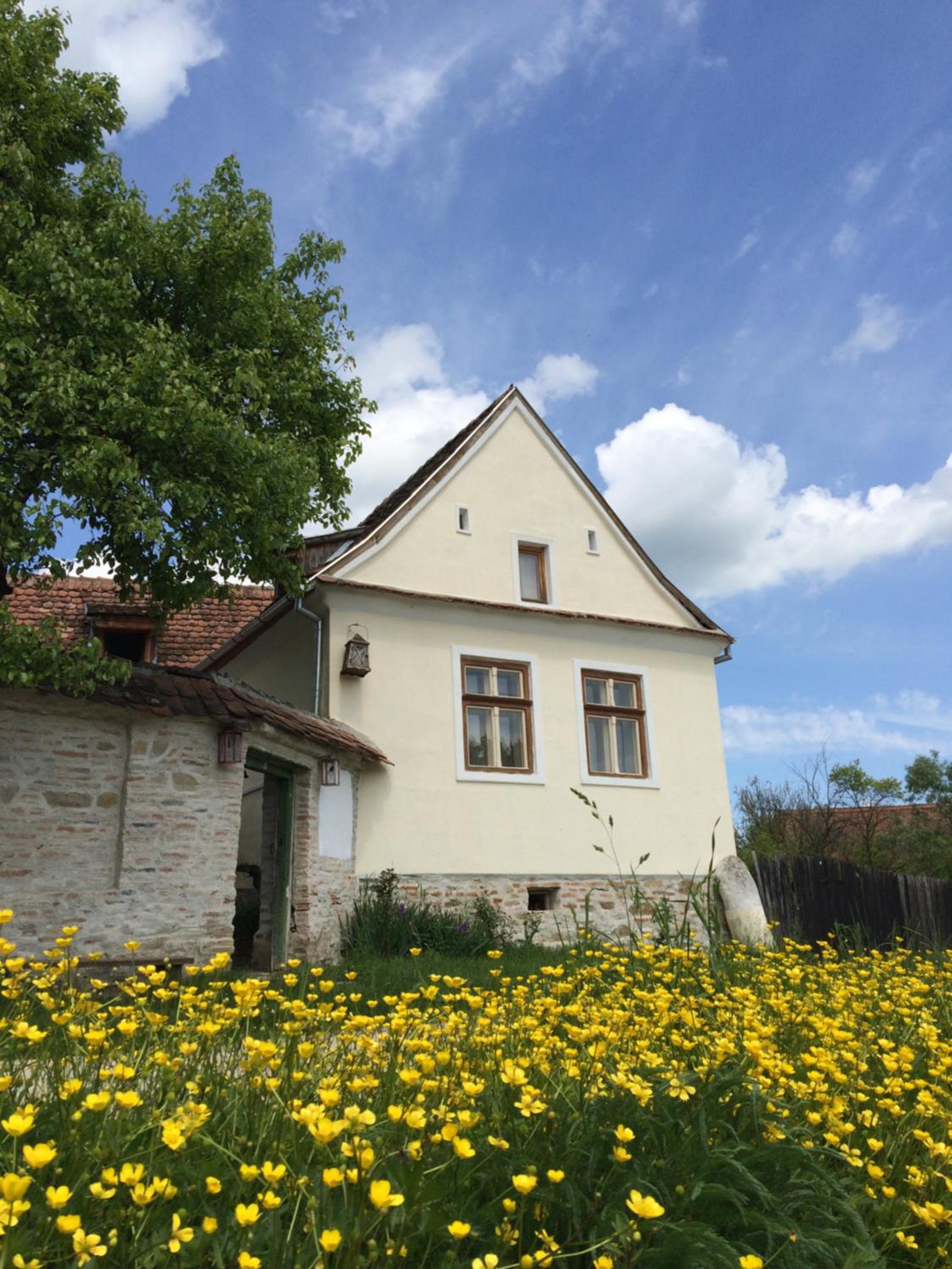 Photo 24