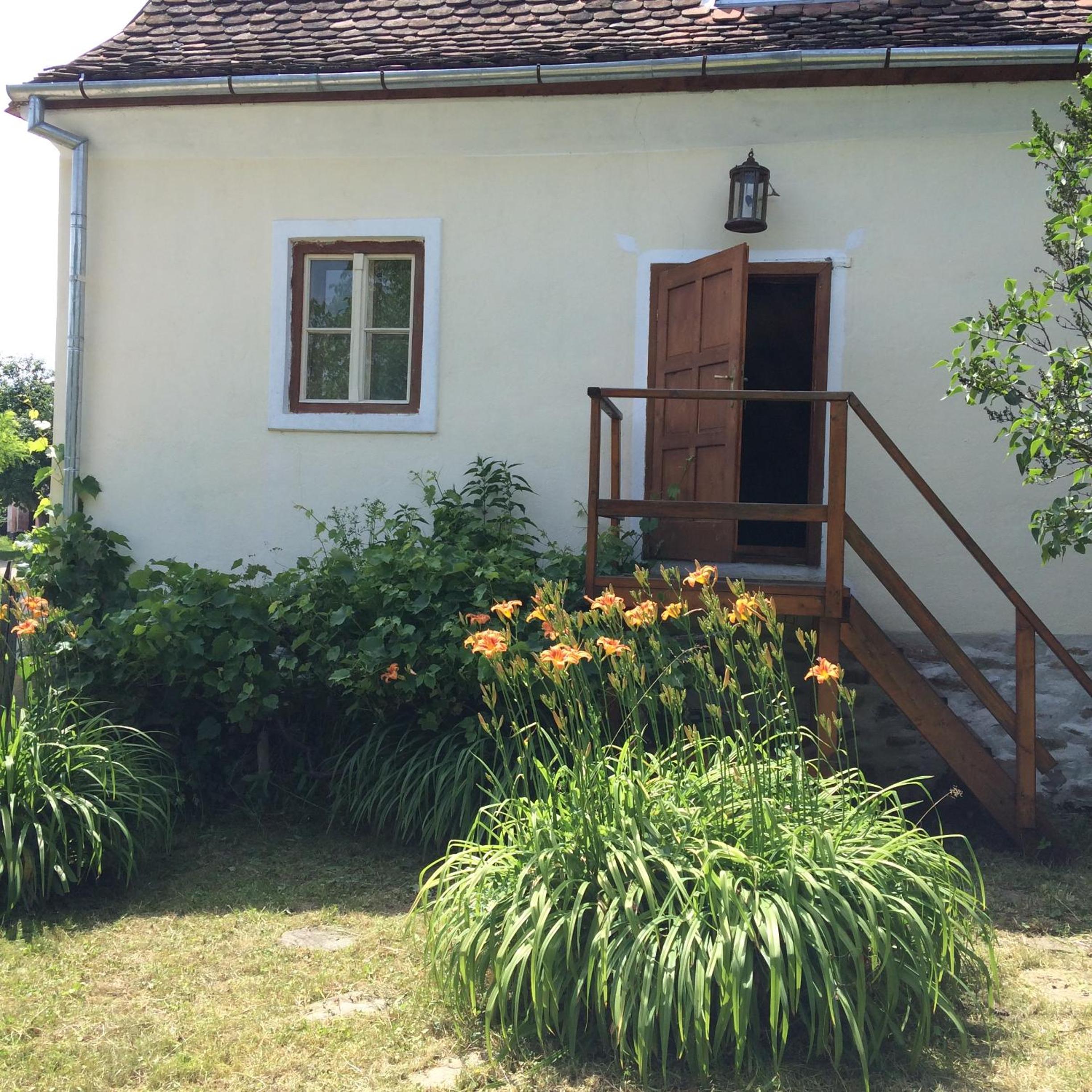 Photo 26