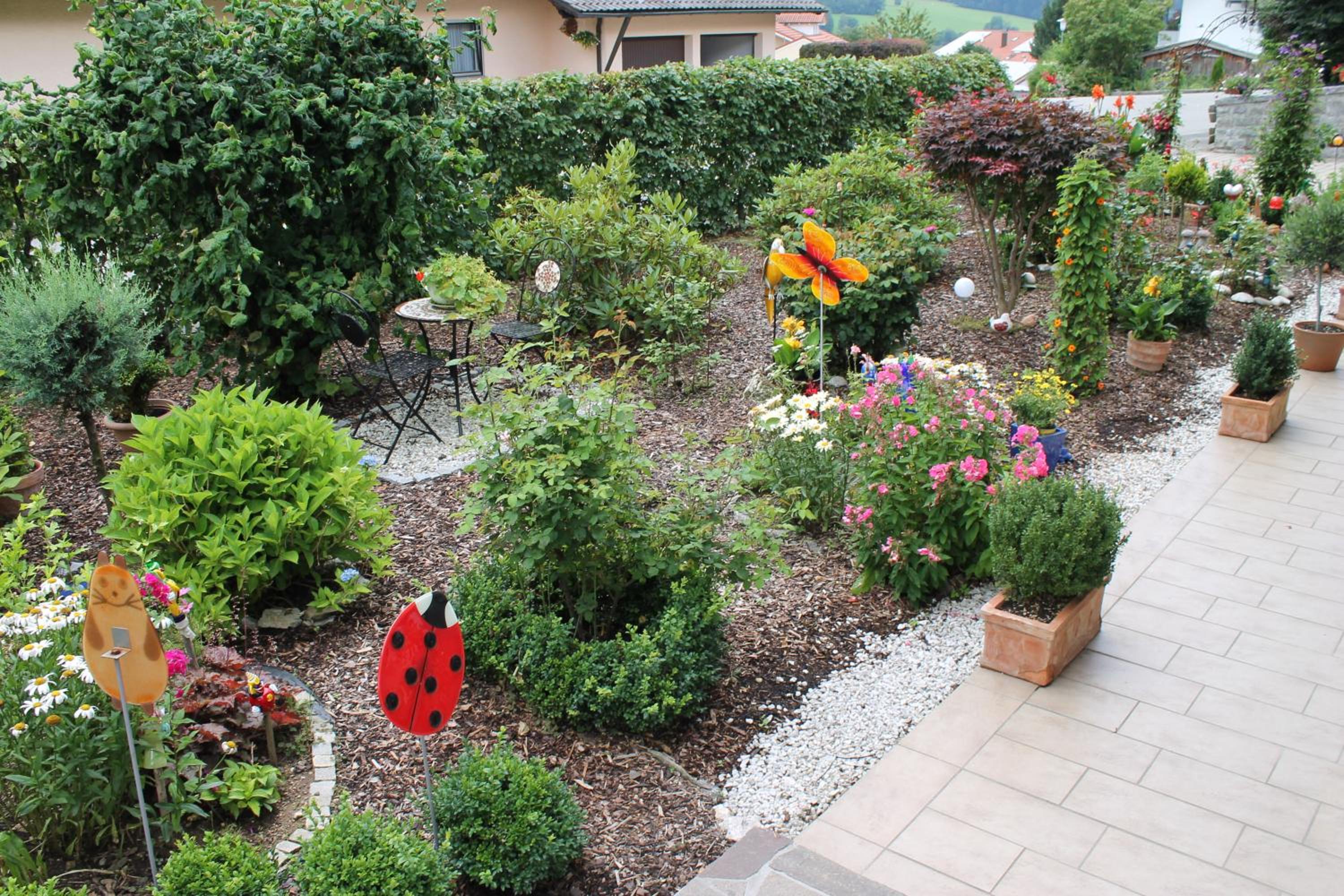 Photo 6