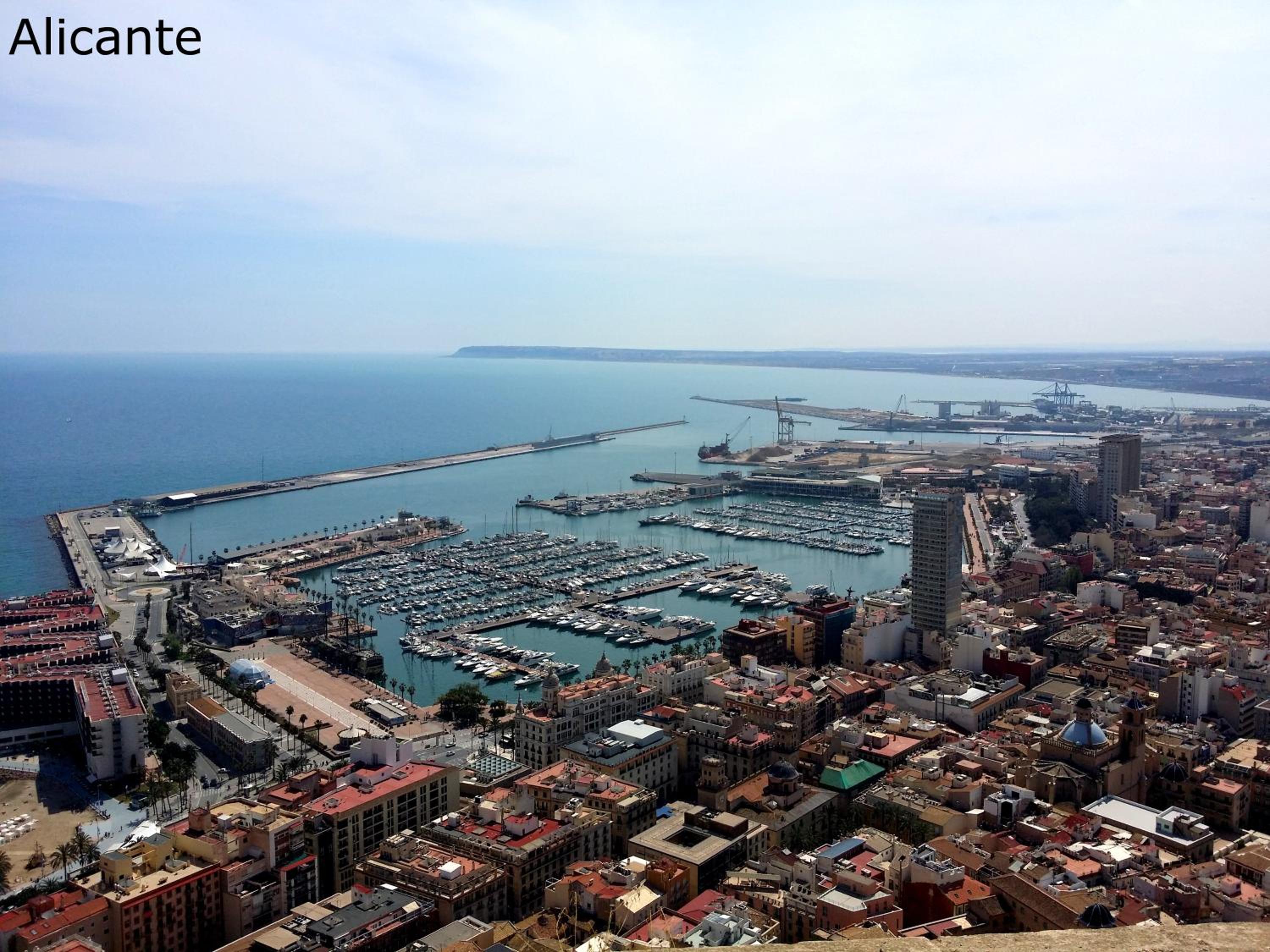 Alicante Apartments photo 4