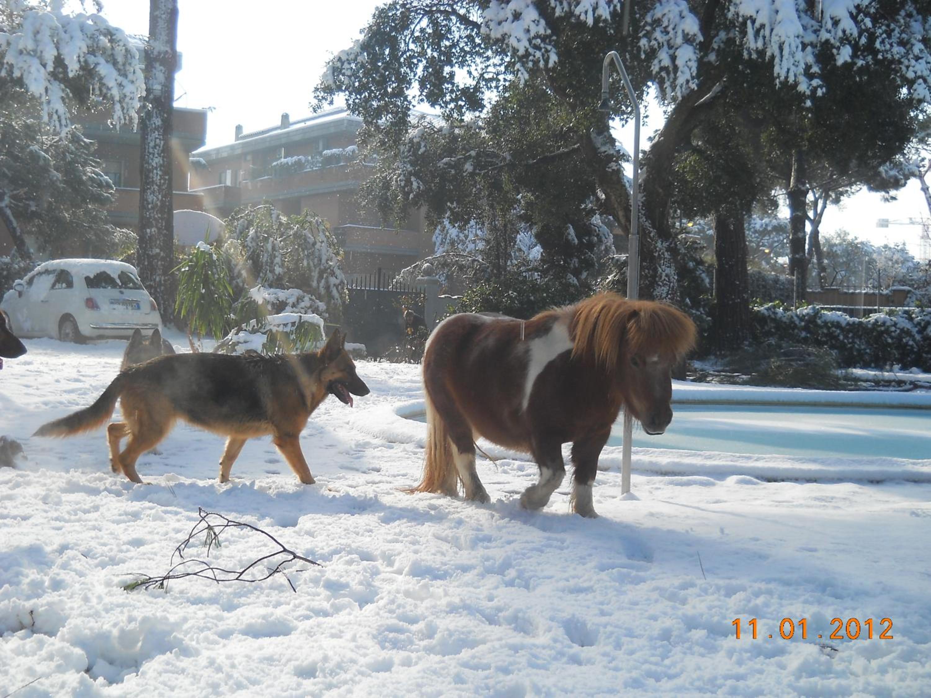Relais La Canfora