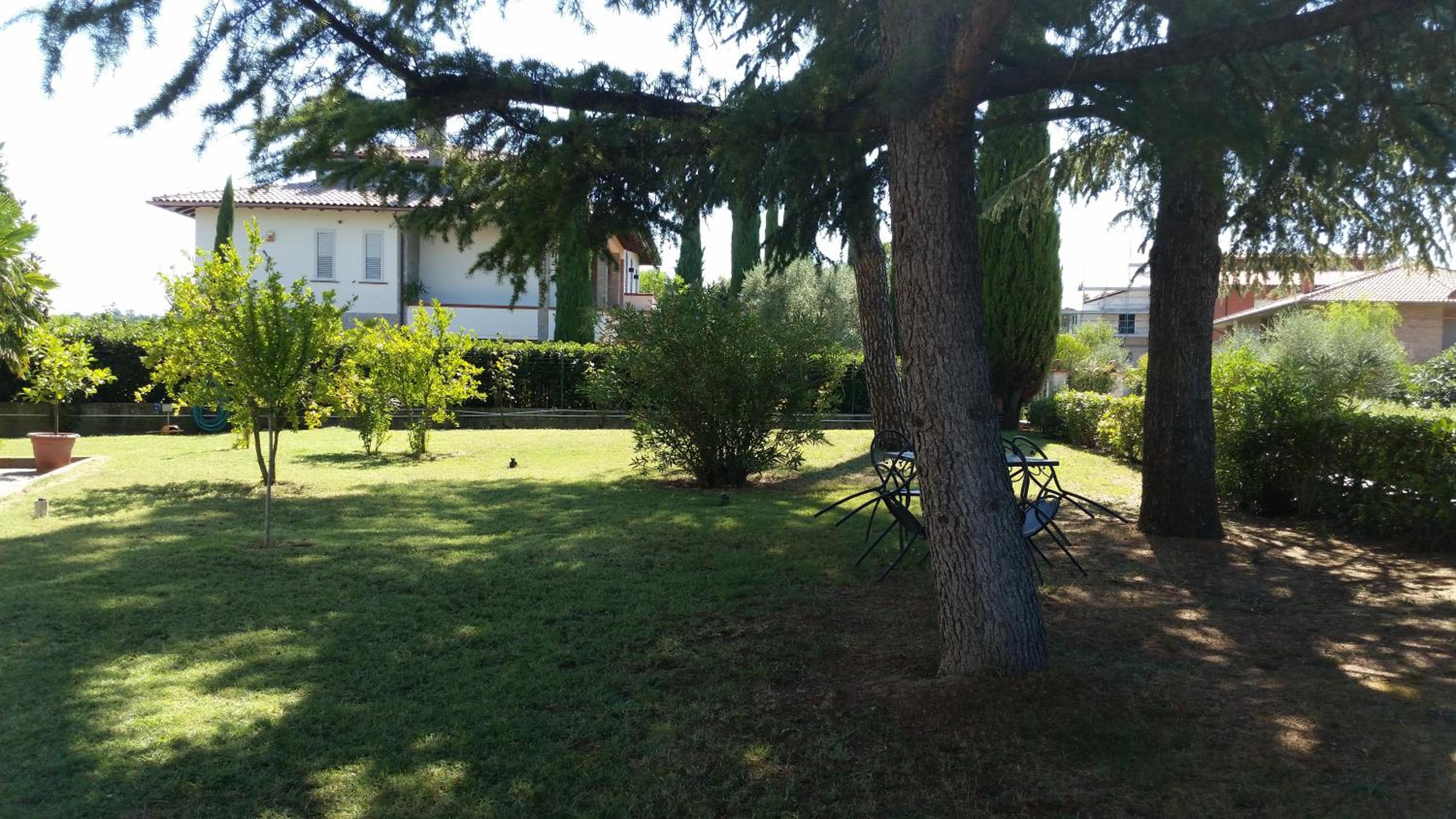 Photo 41