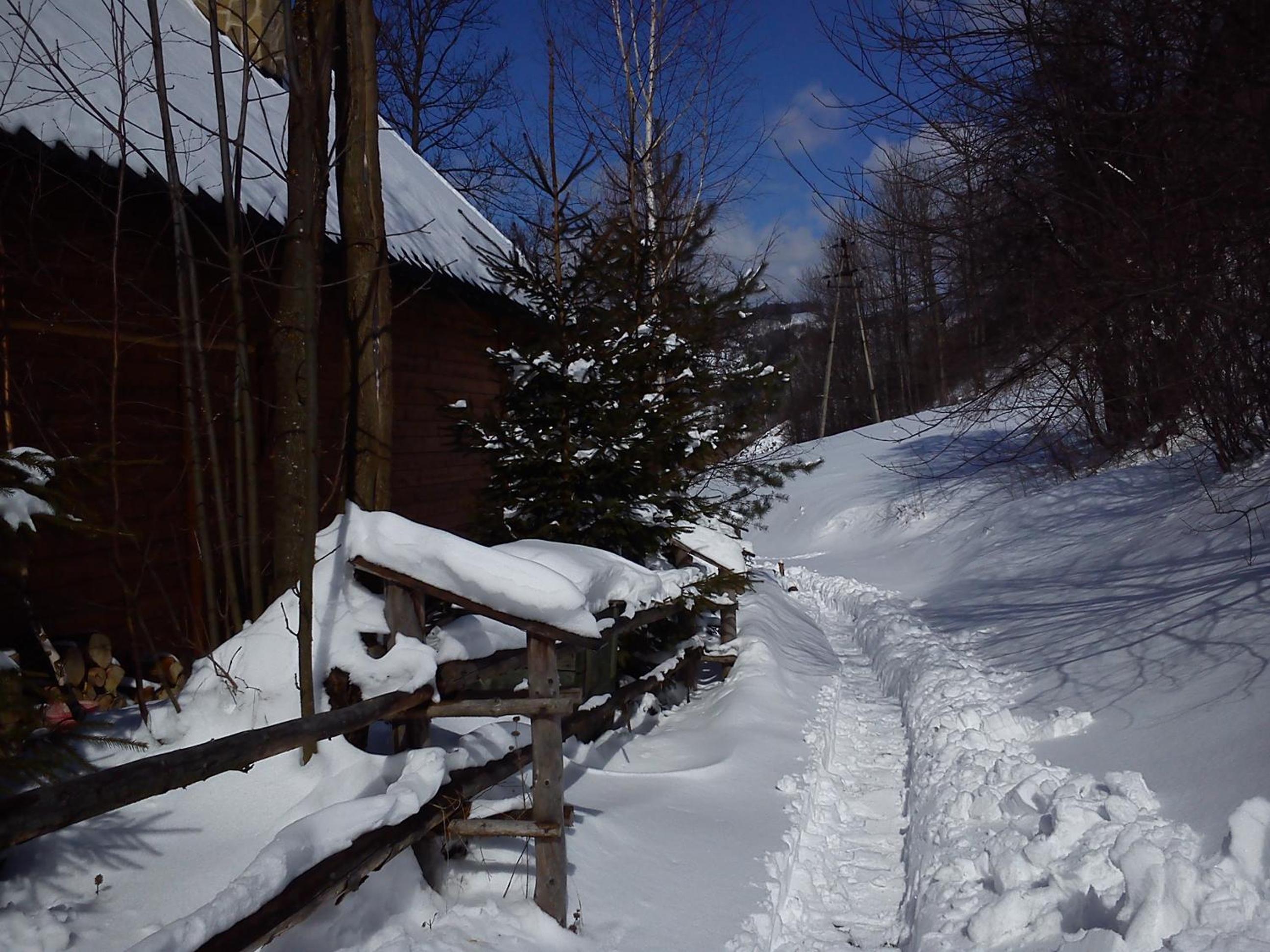 Photo 22