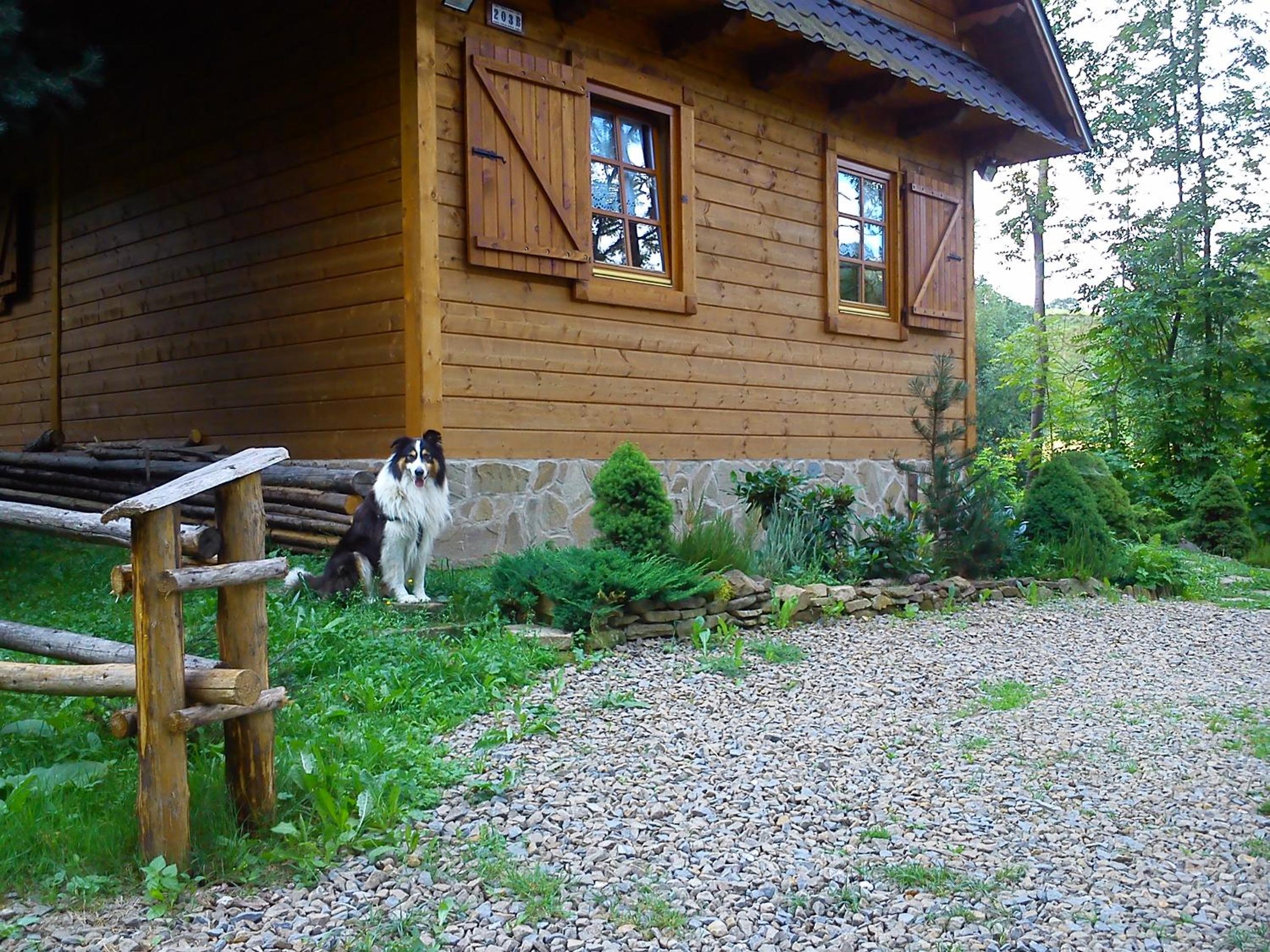 Photo 25