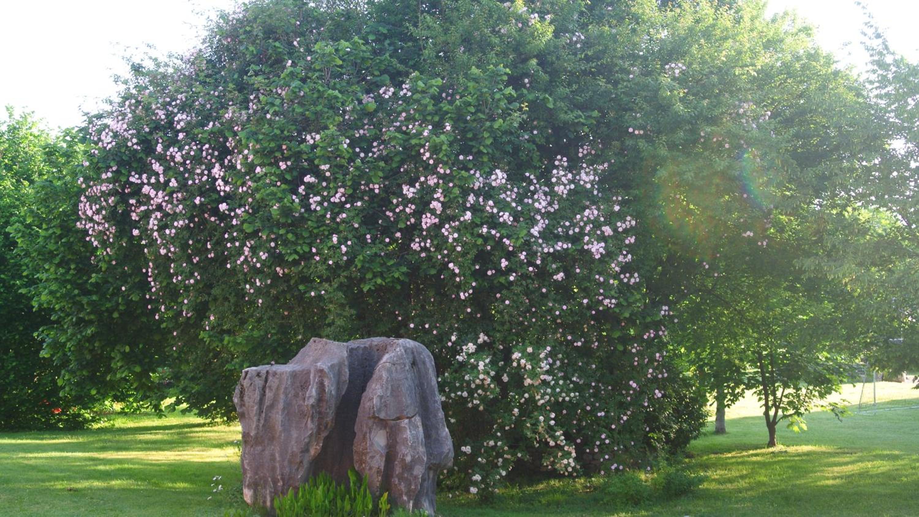 Photo 49