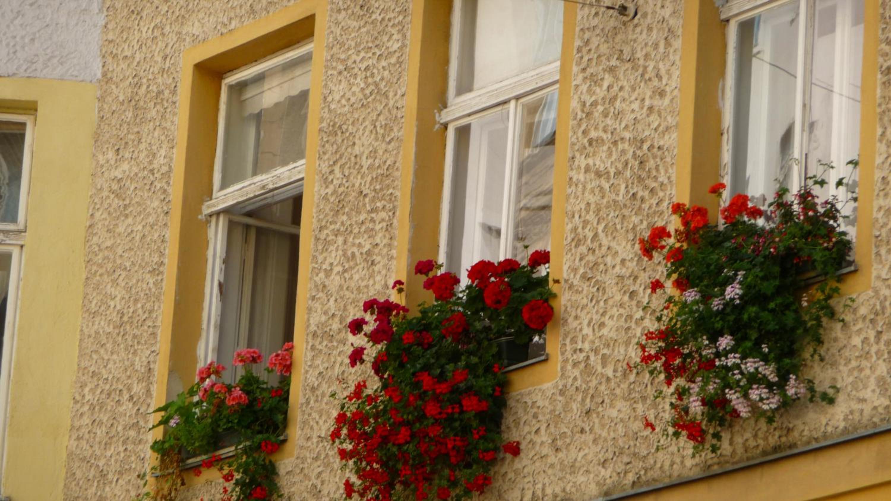 Streetview Wien – Premium Flat At The Belvedere