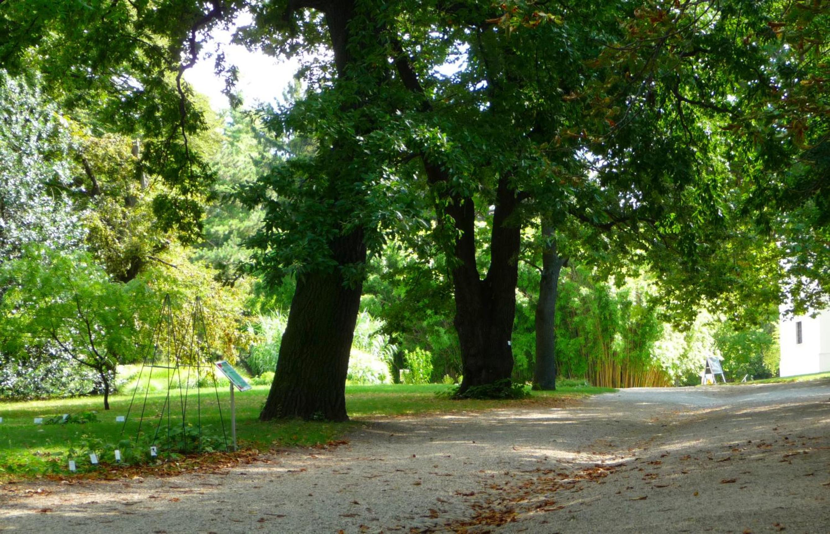 Streetview Wien – Premium Flat At The Belvedere