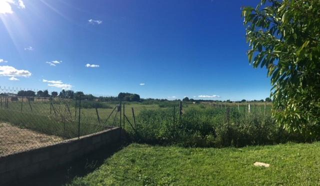 Maison de vacances en Camargue, photo 4