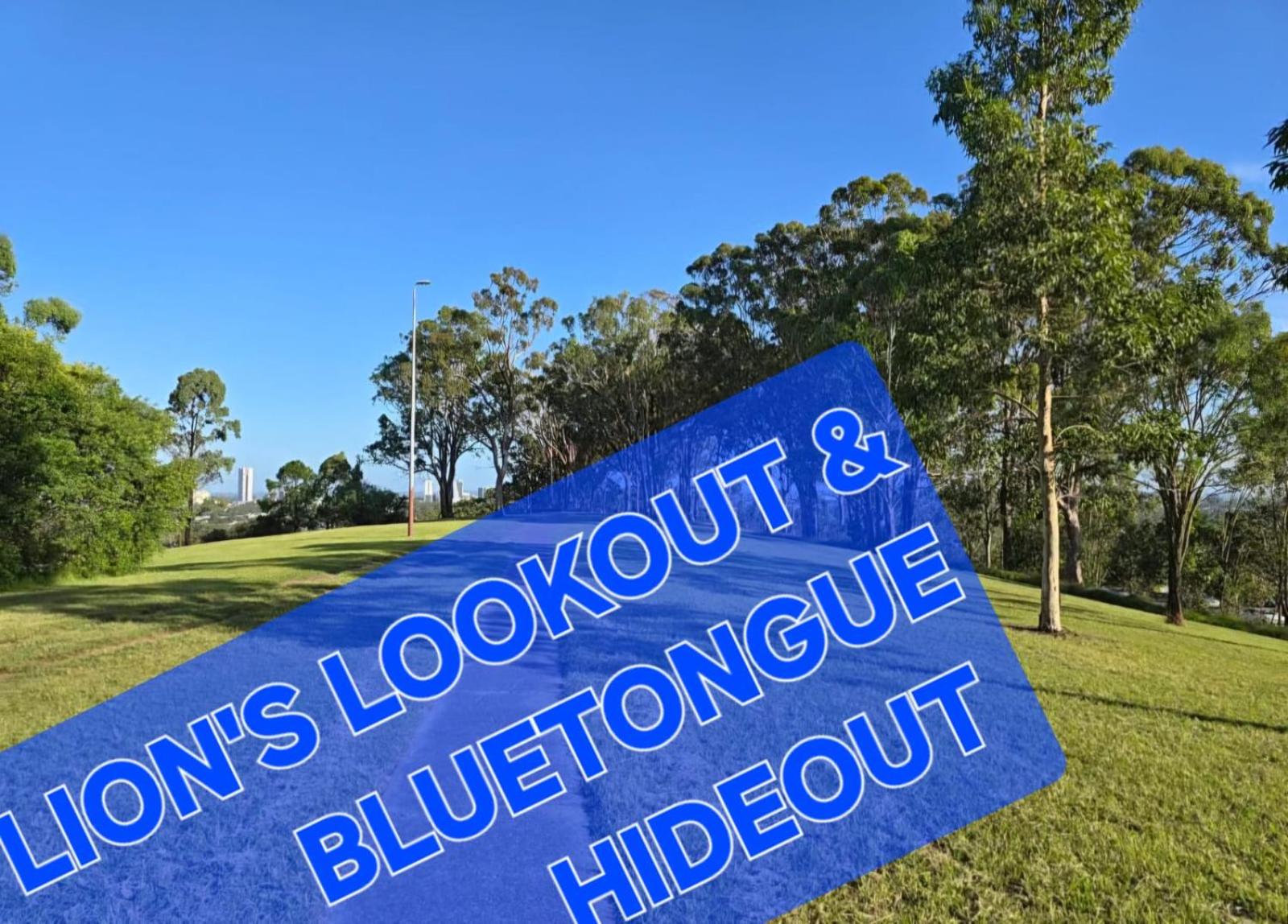 Bluetongue Hideout