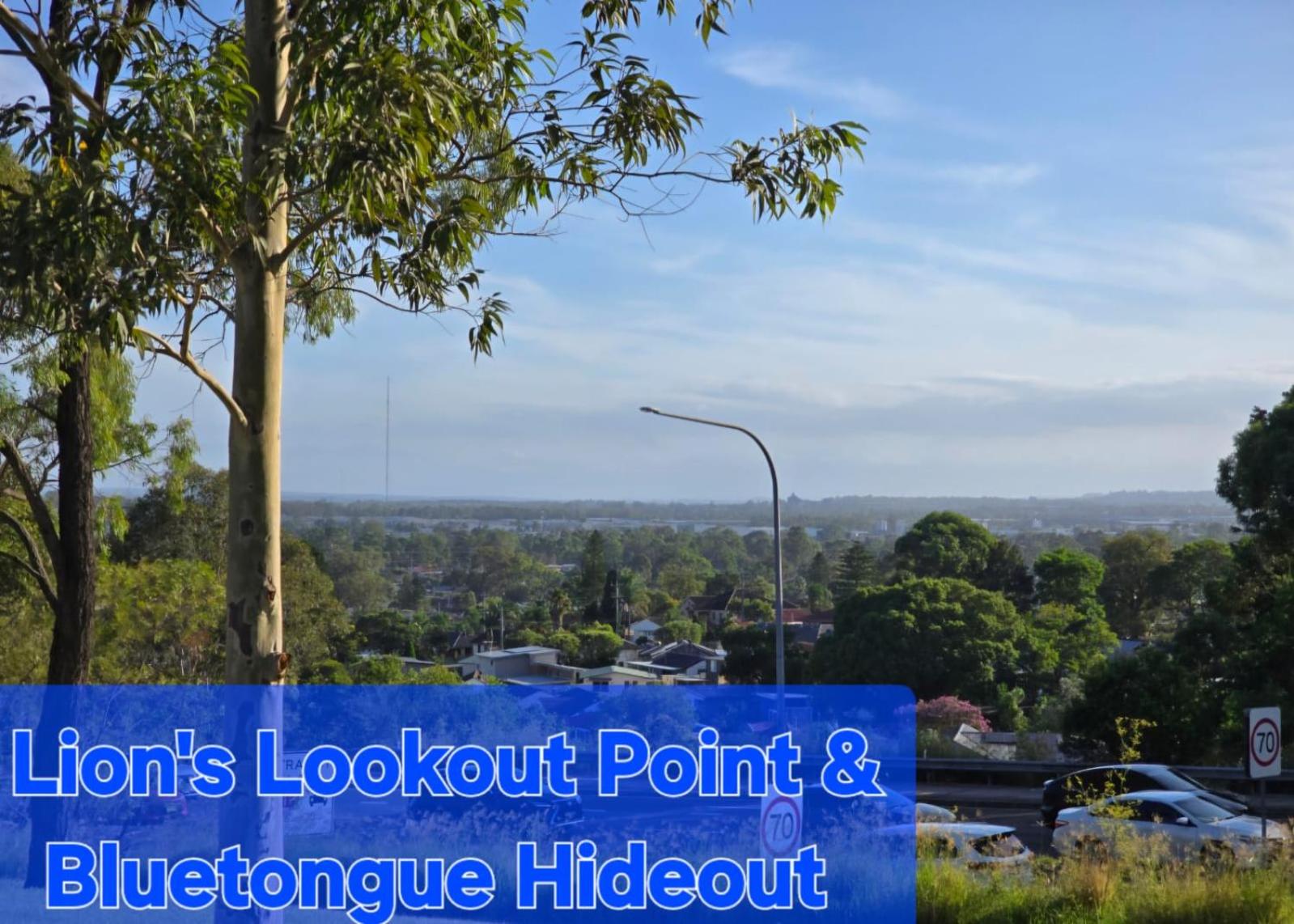 Bluetongue Hideout