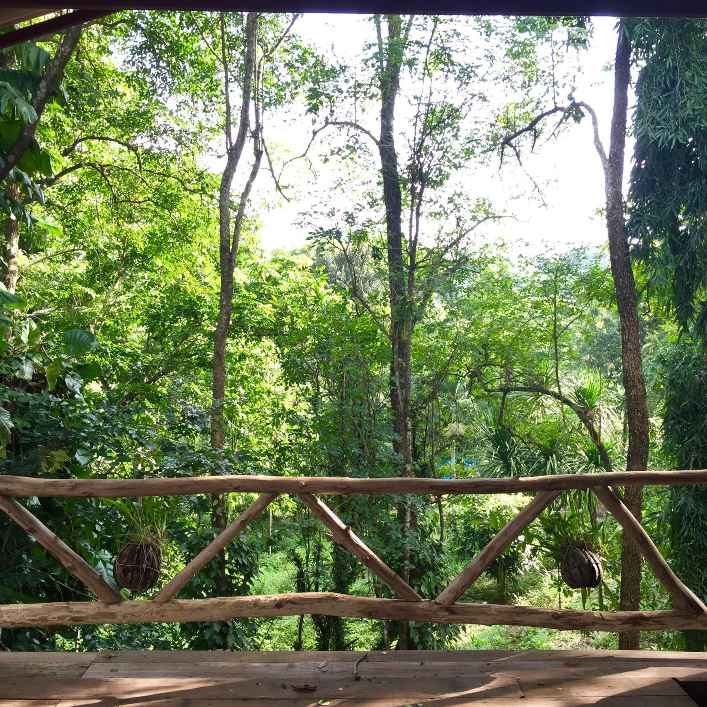 Aum Hum Homestay