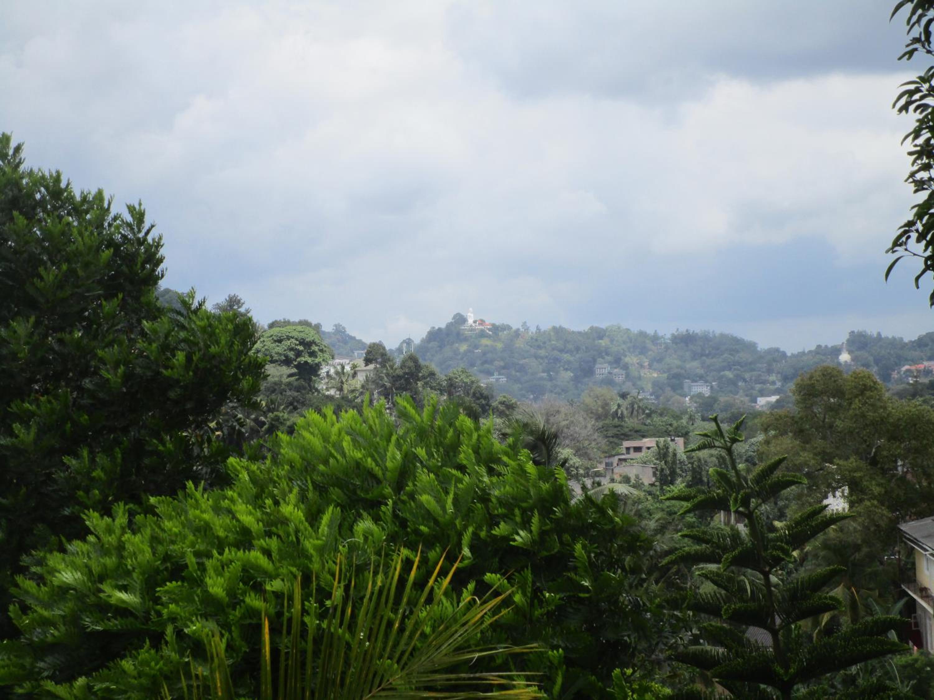 Cloud Inn Kandy Homestay - Near Temple of Tooth