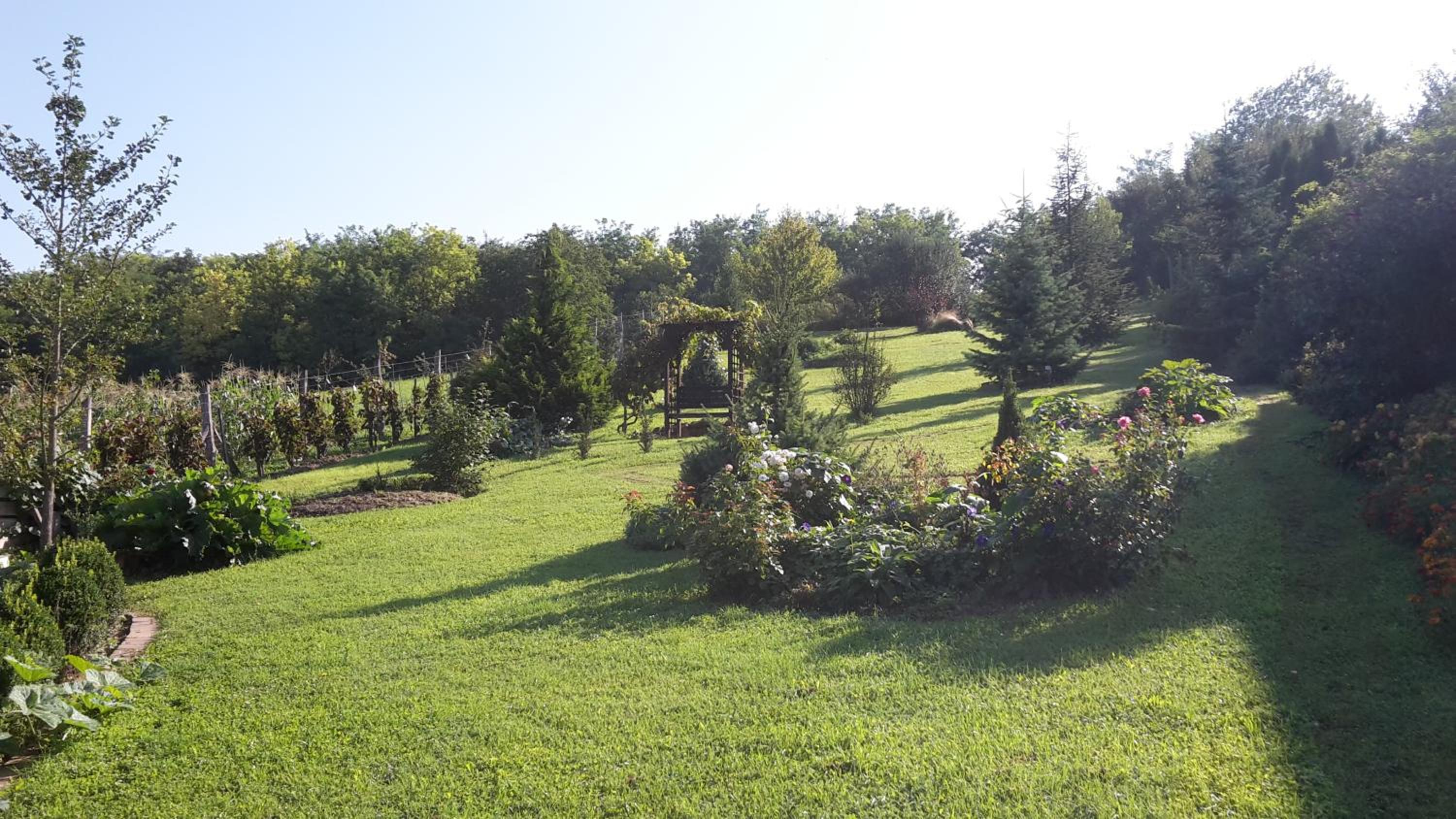 Photo 32