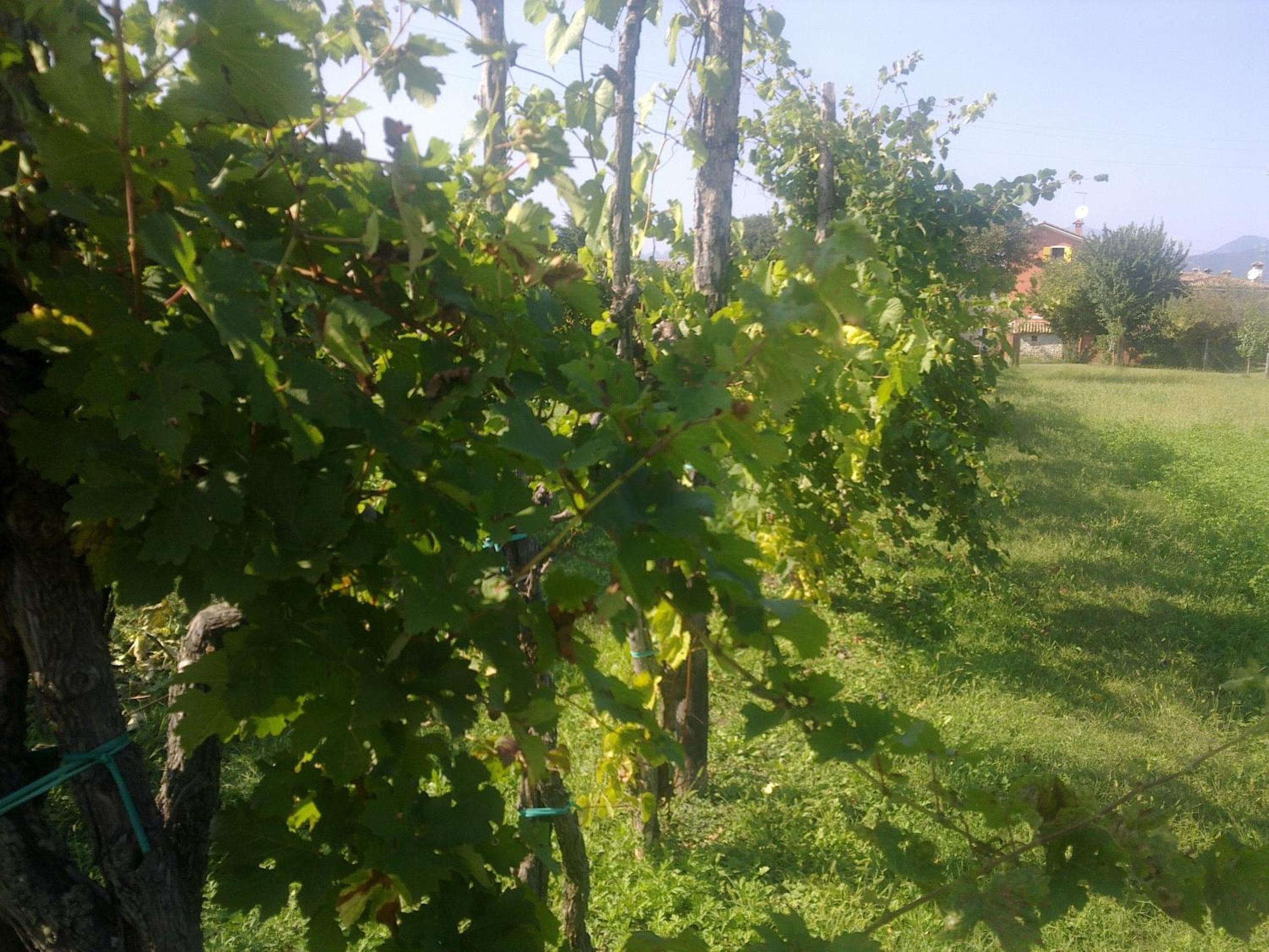 B&B Terre Di Bea