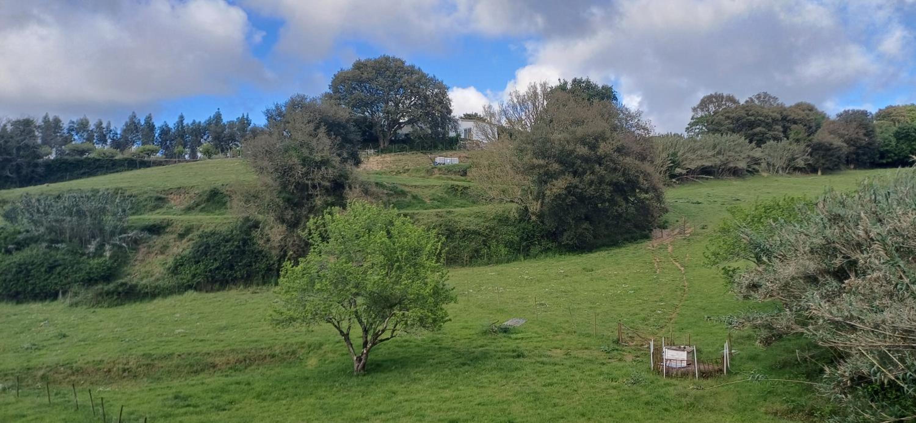Quinta da pêra rocha