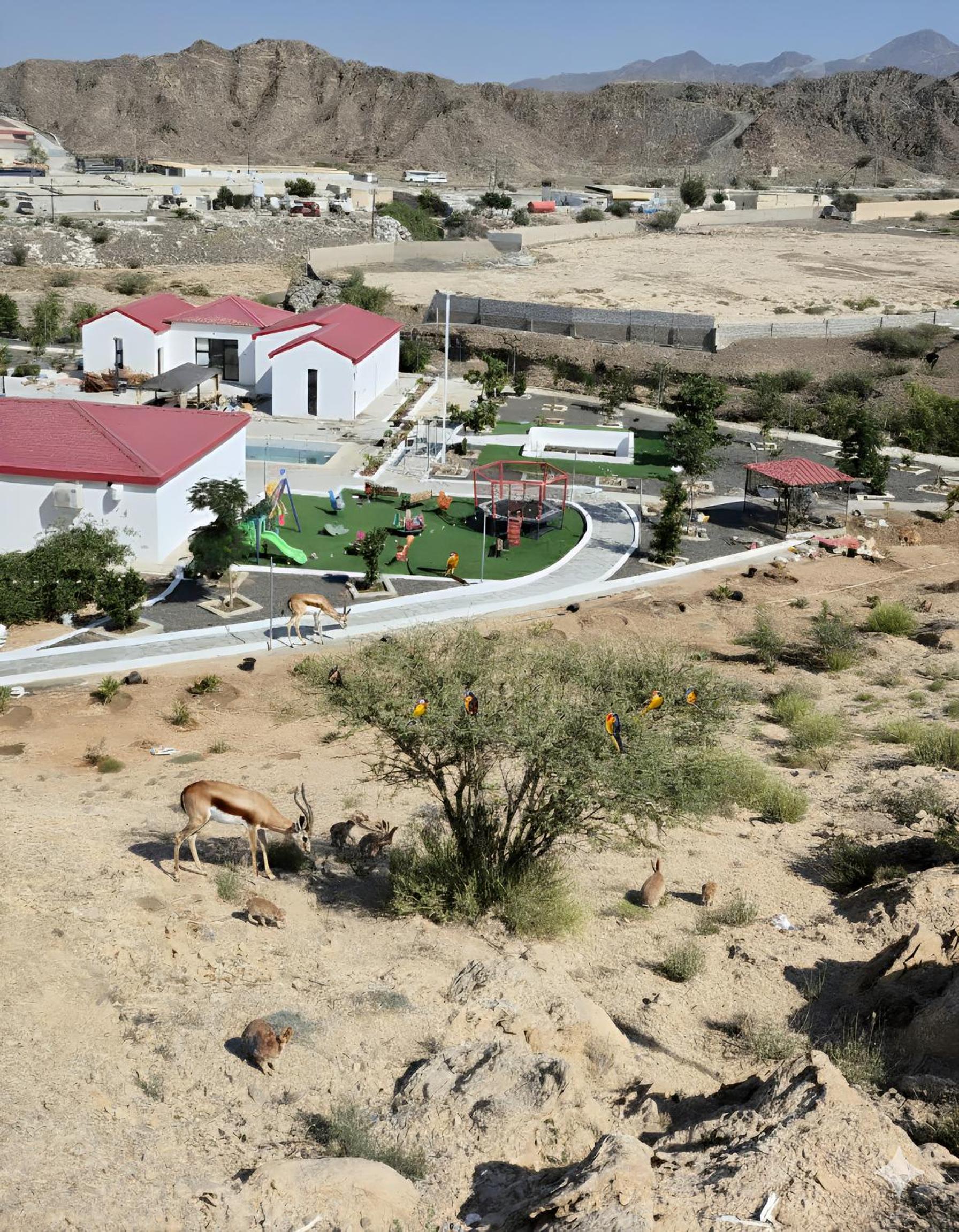 شاليه شامل الإفطار -- Chalet including breakfast