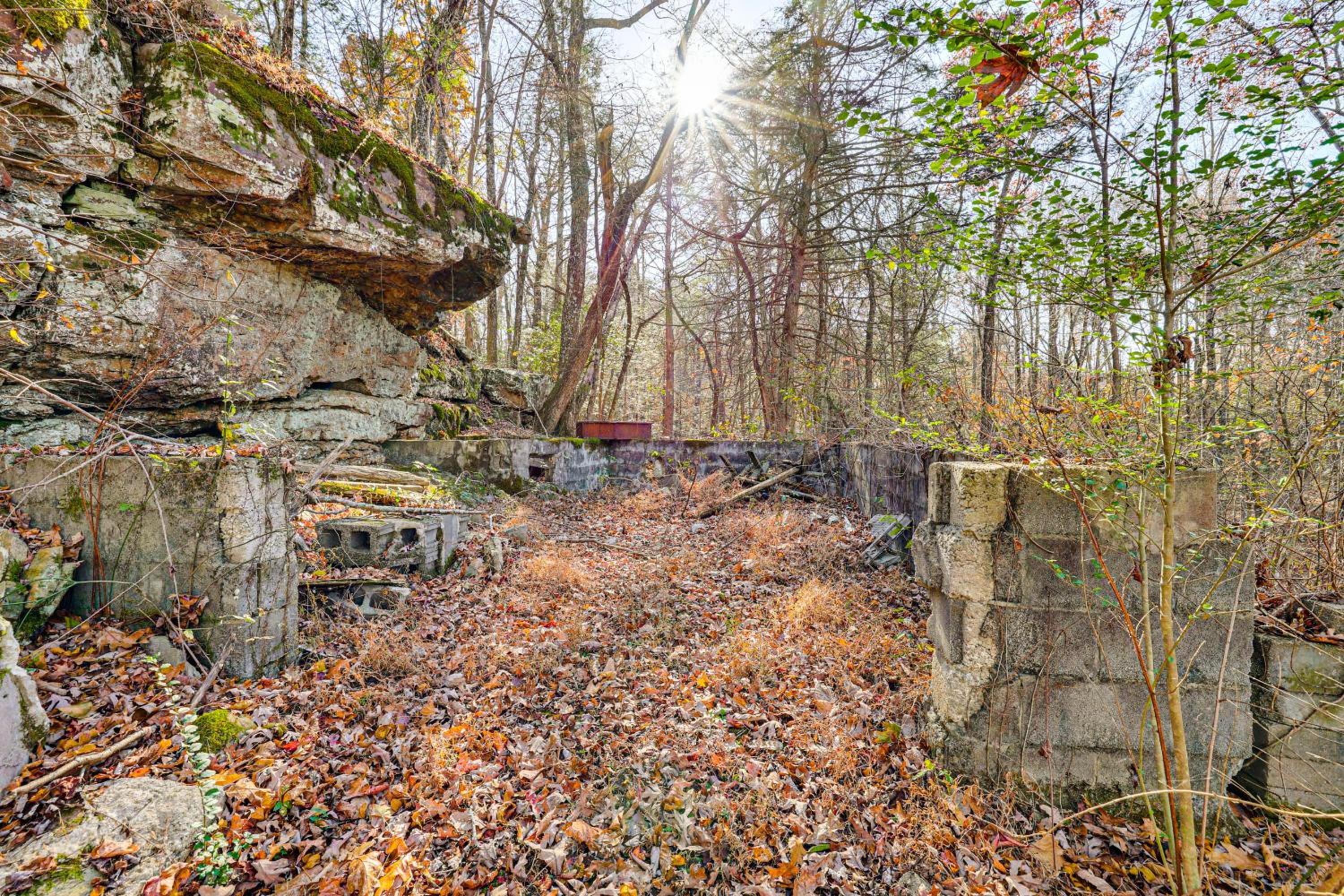 Hike and Relax Fireside Peaceful Gem in Soddy-Daisy