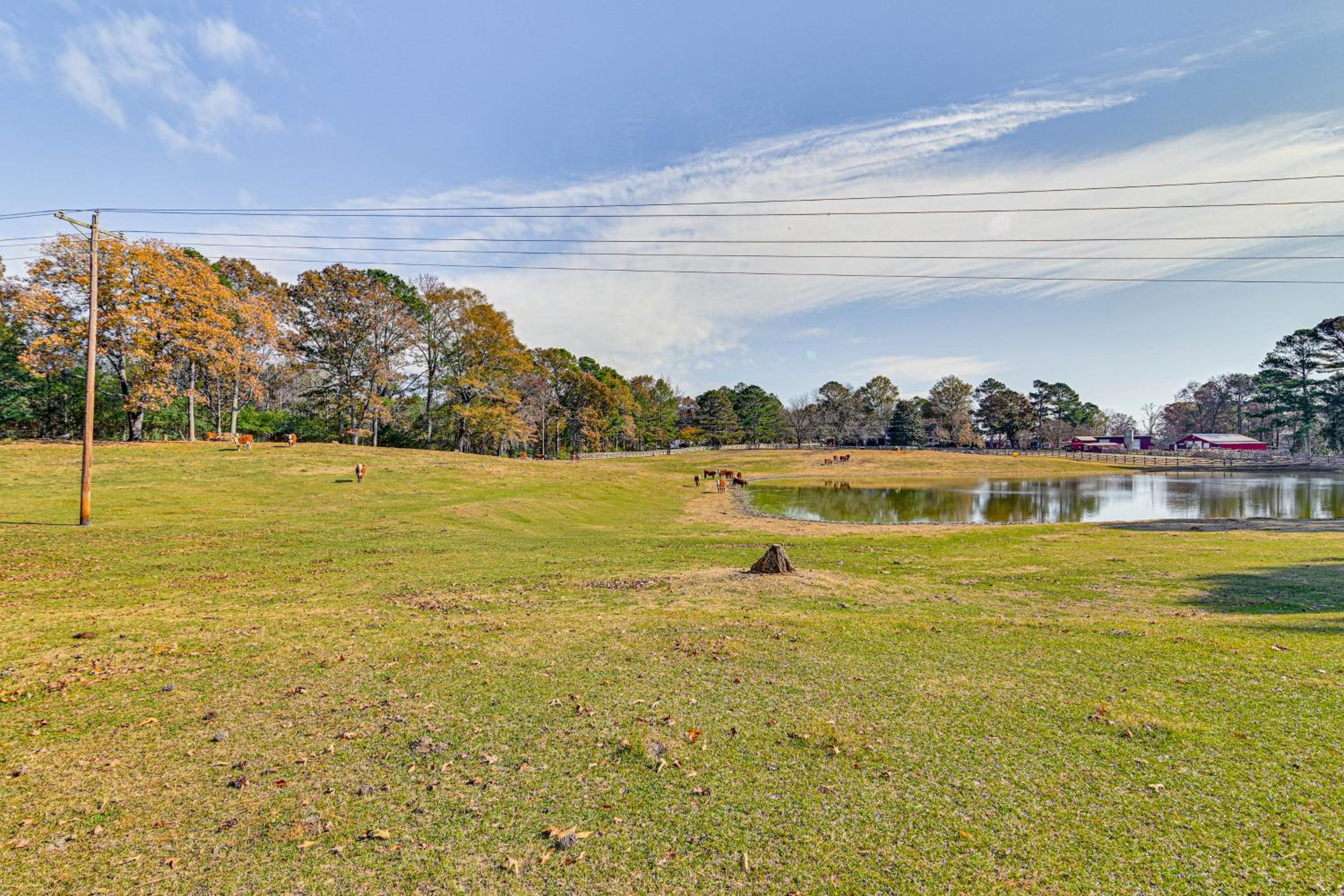Countryside Home with Pond and Pasture Views in Iuka!