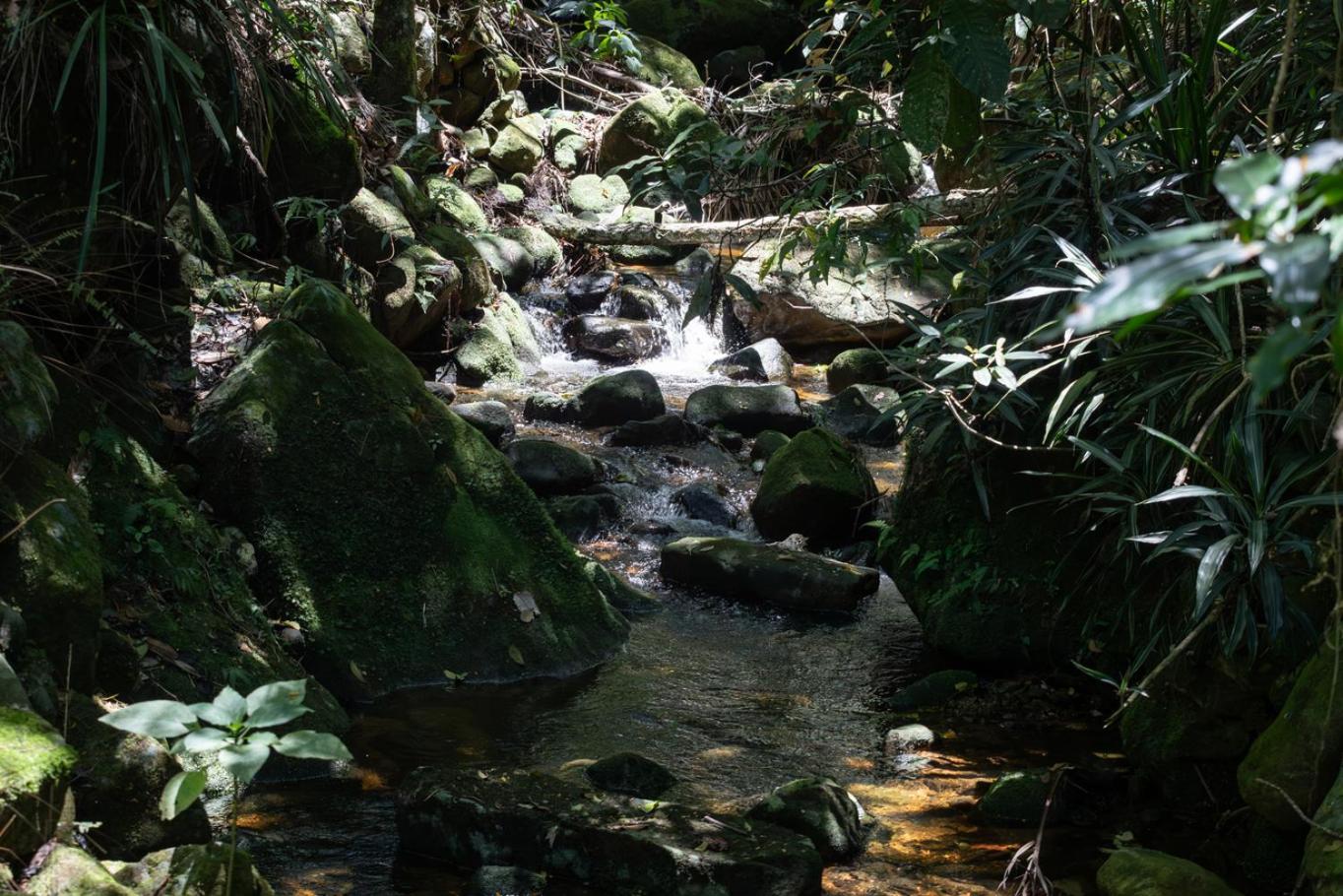 Casa com Piscina, Churrasqueira, Jogos e Lareira