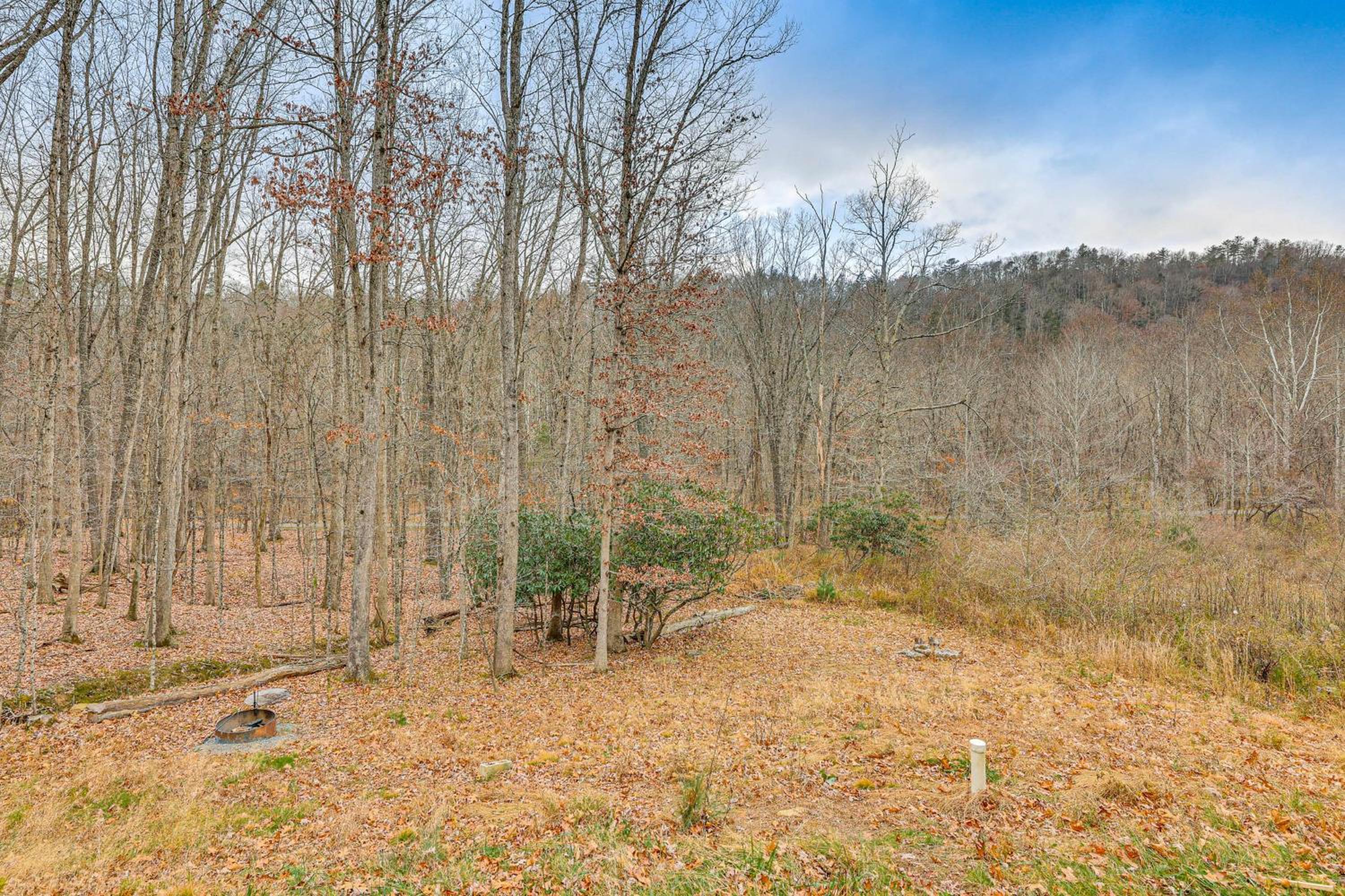 Greenbrier River On-Site! Modern-Rustic Log Cabin