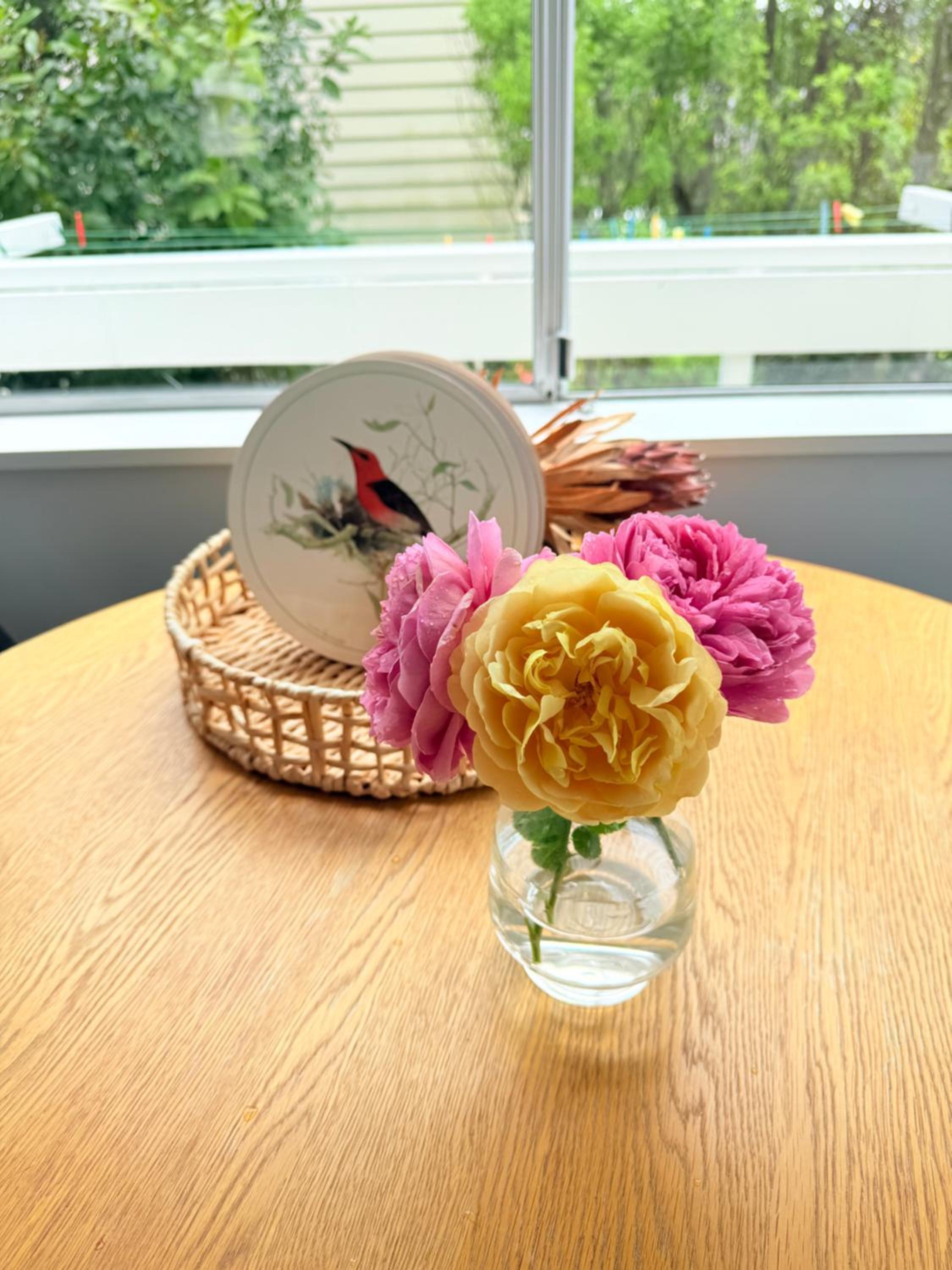 Renovated Entire 2BR Flat, Comfort, Scenic Views, Free Parking & 10 min to Ferry
