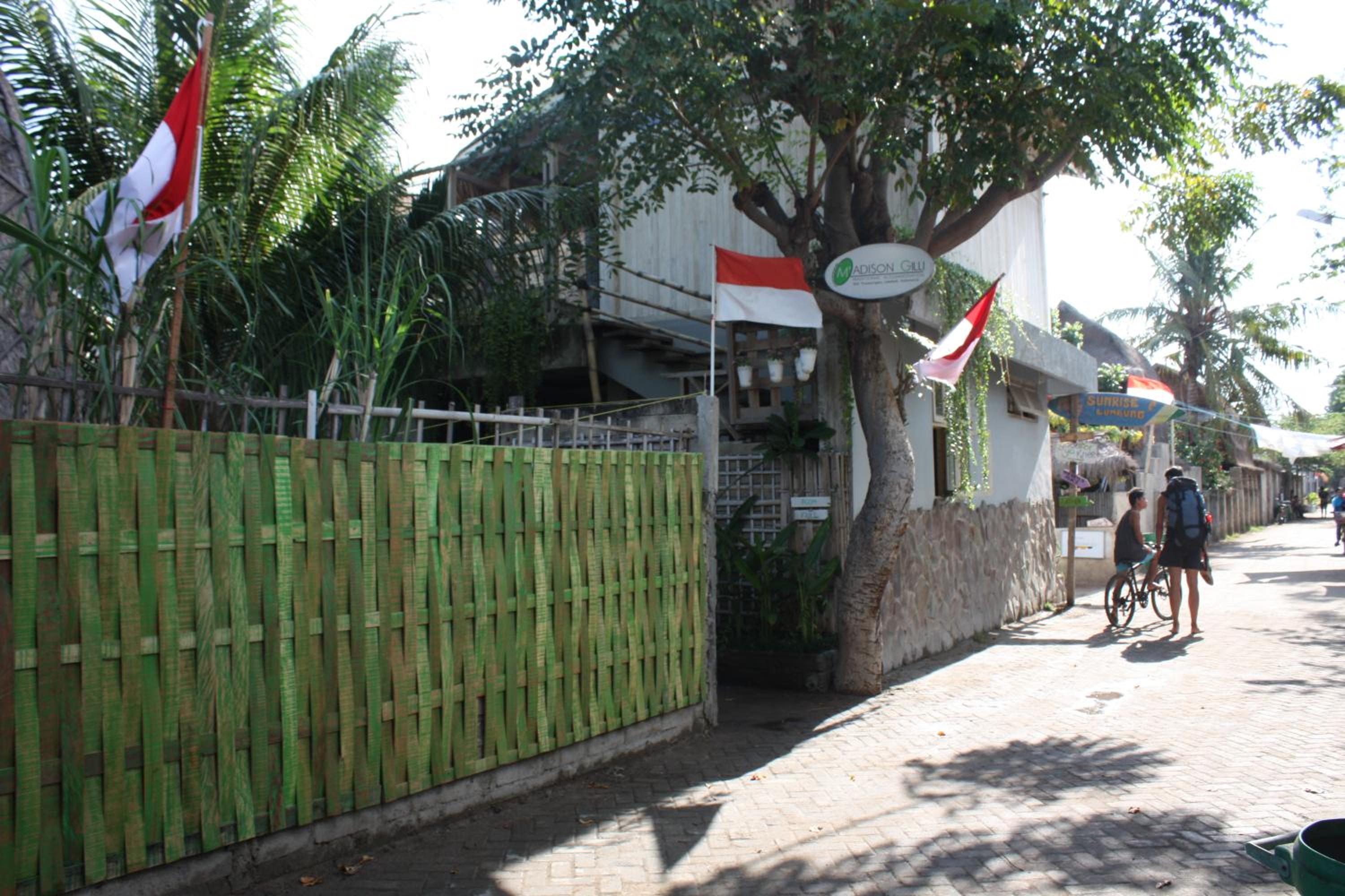 Photo 24