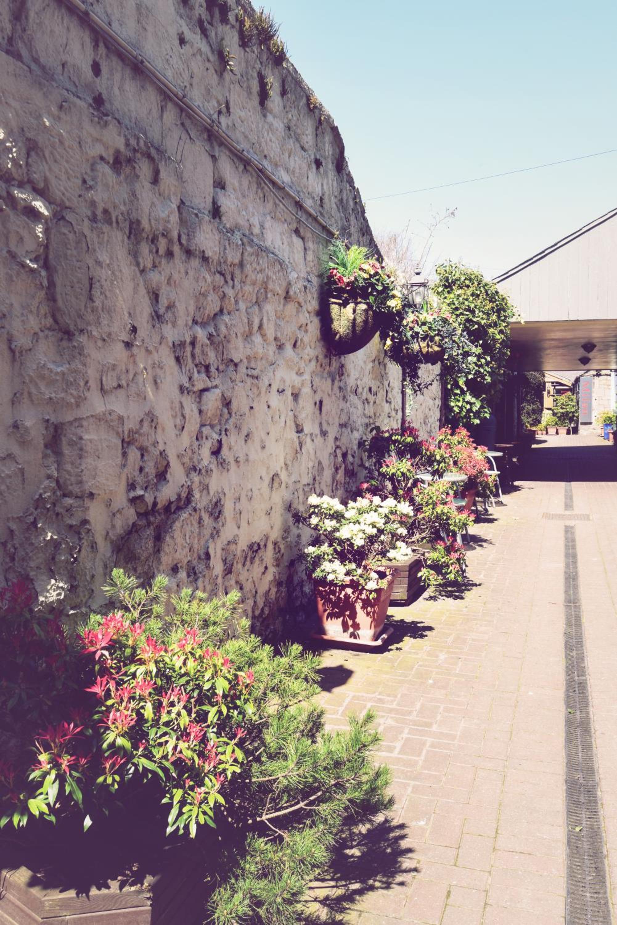 Photo 23