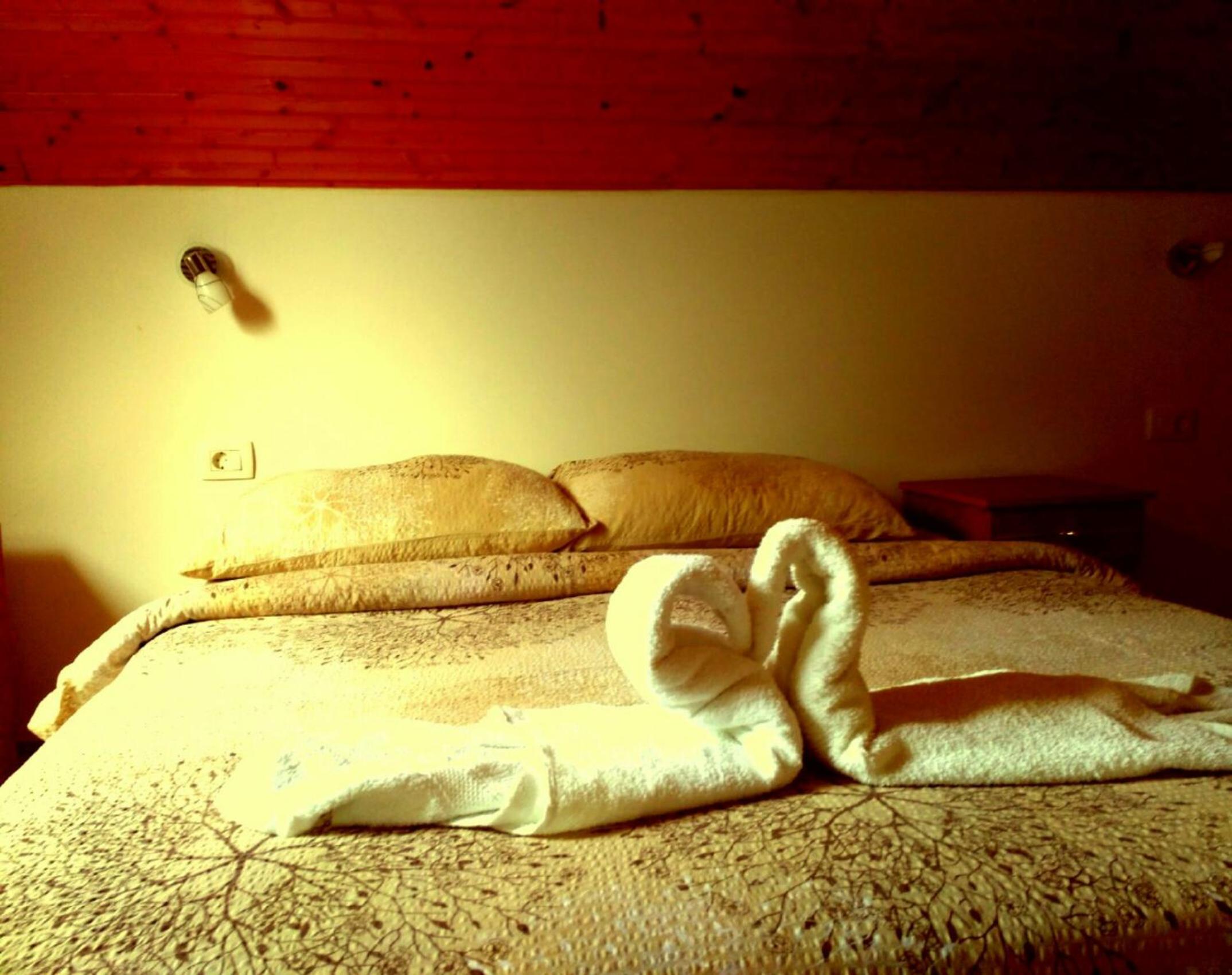 Photo 54