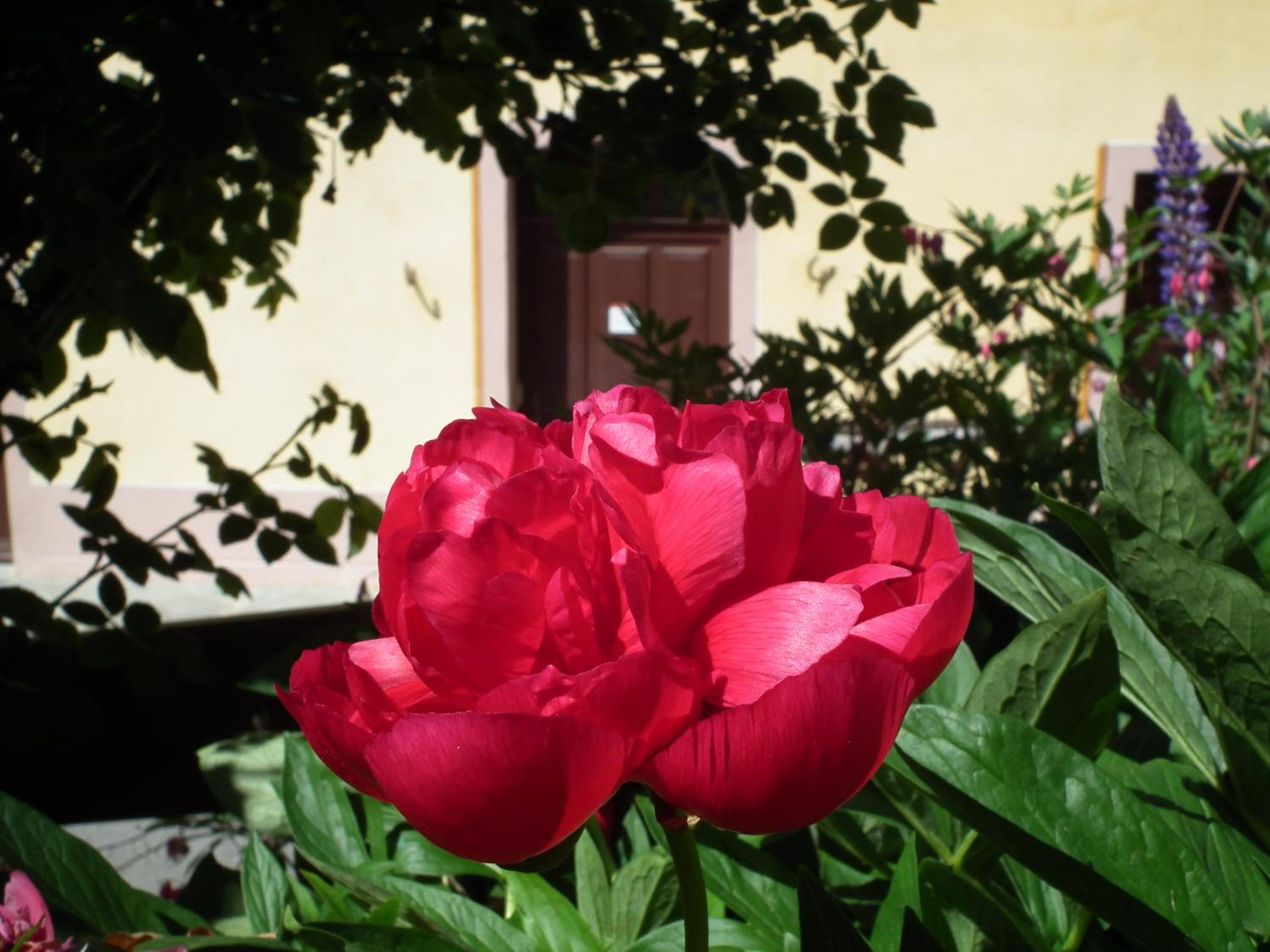 Chez le Marquis du Pontet