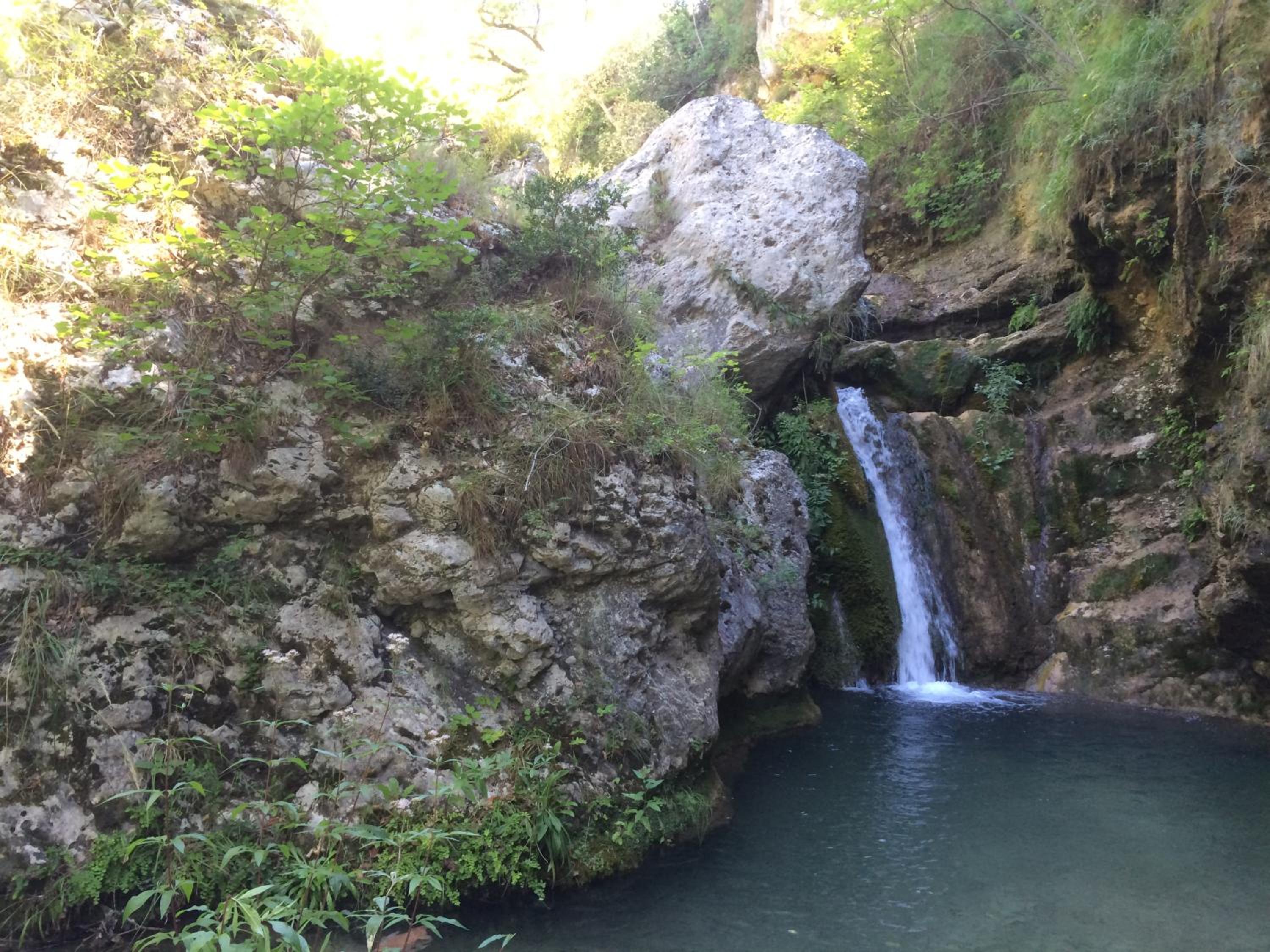 Photo 21