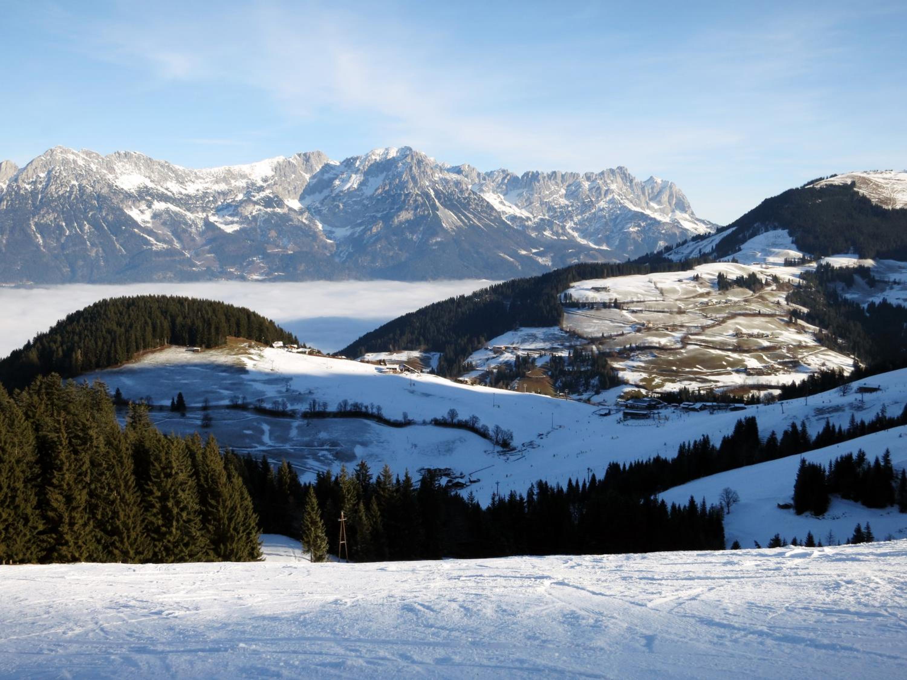 Kollerhof