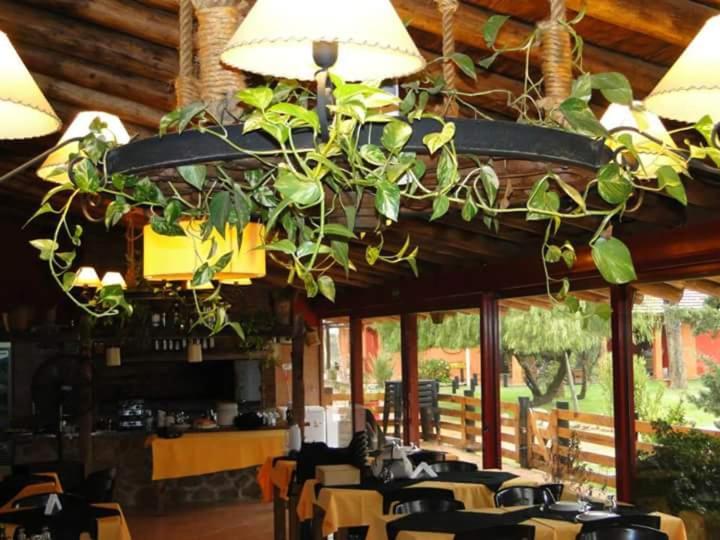 Posada Cacheuta
