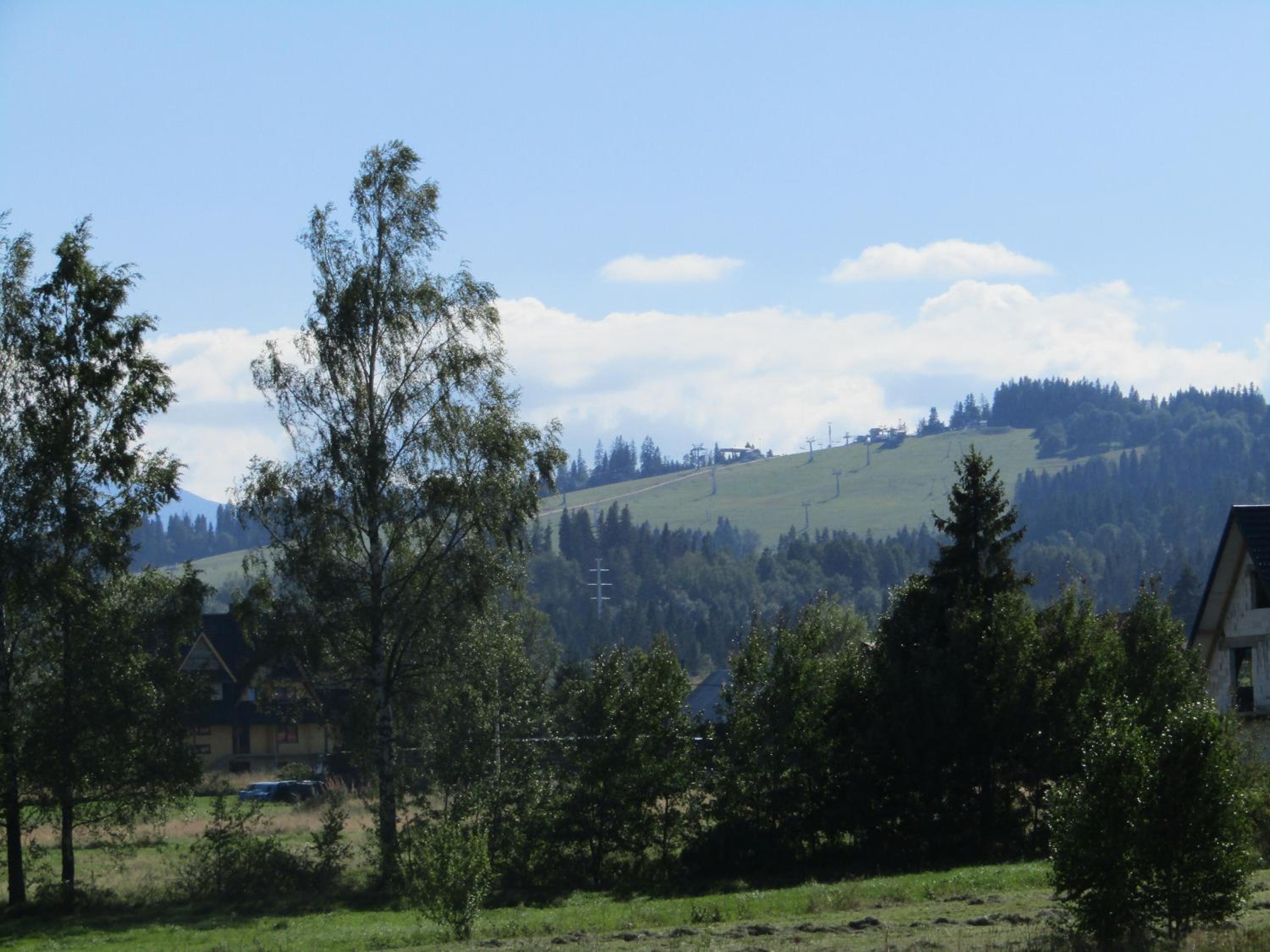 Photo 33