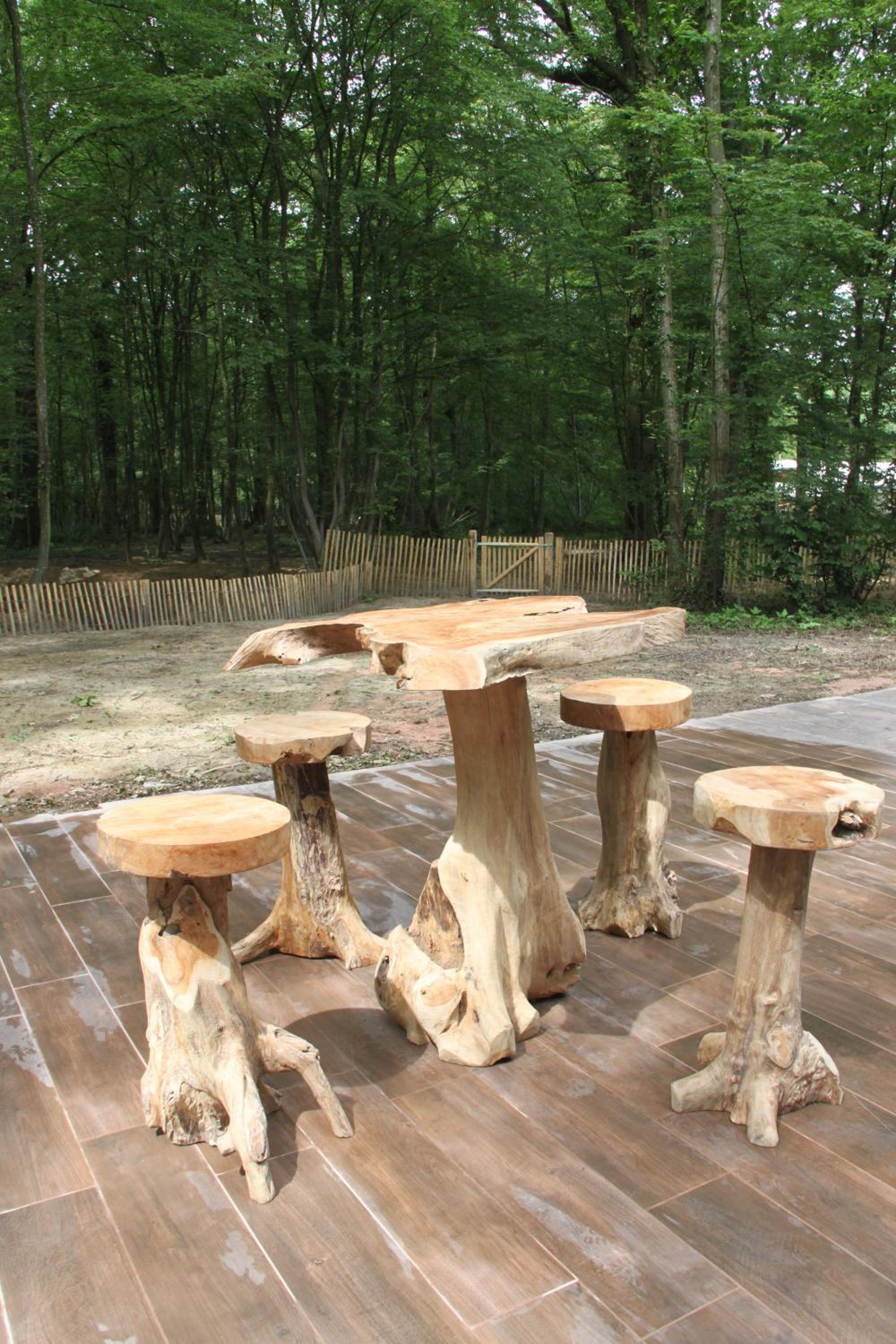 L'isba des bois, hors du temps view 4