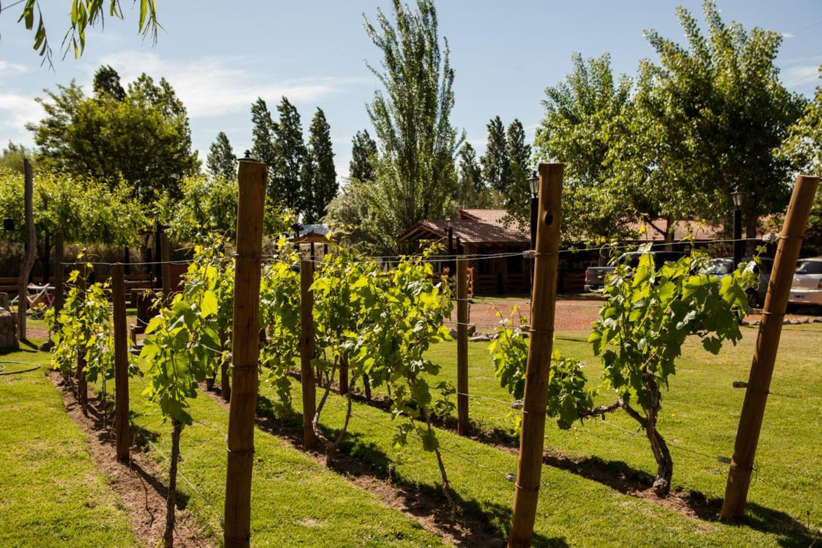 Posada Cacheuta