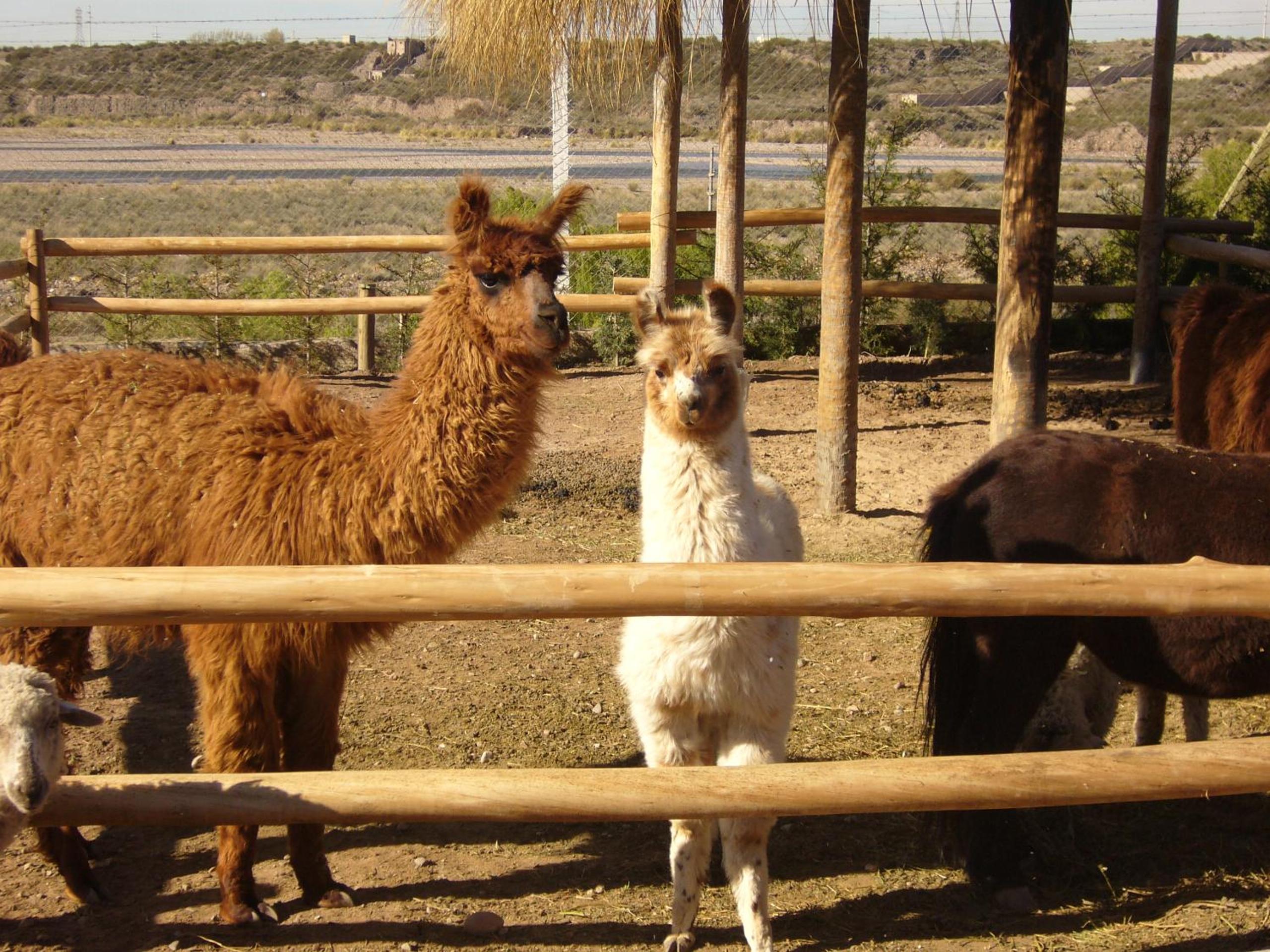 Posada Cacheuta