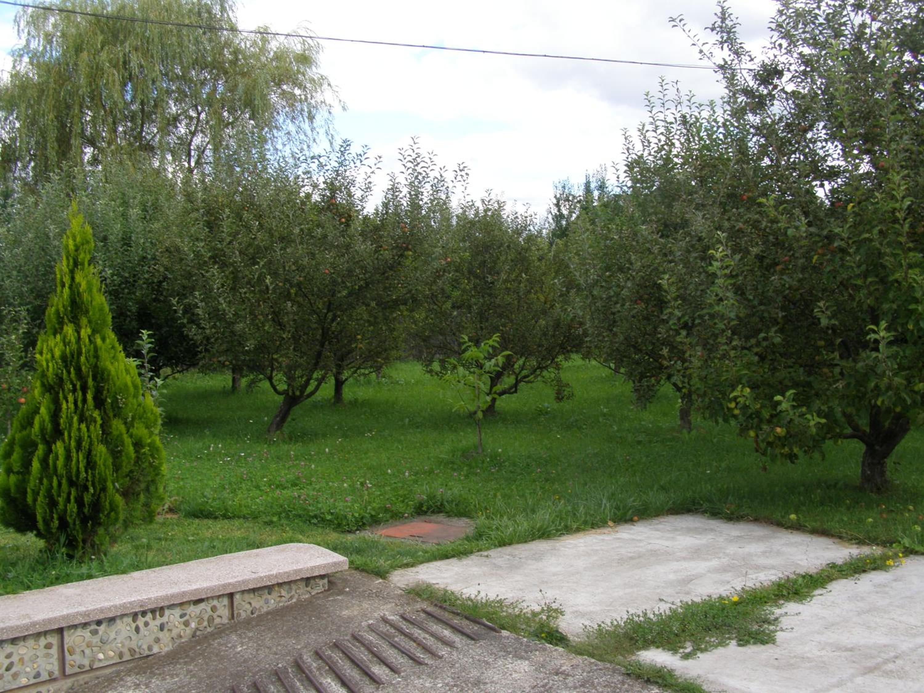Photo 242