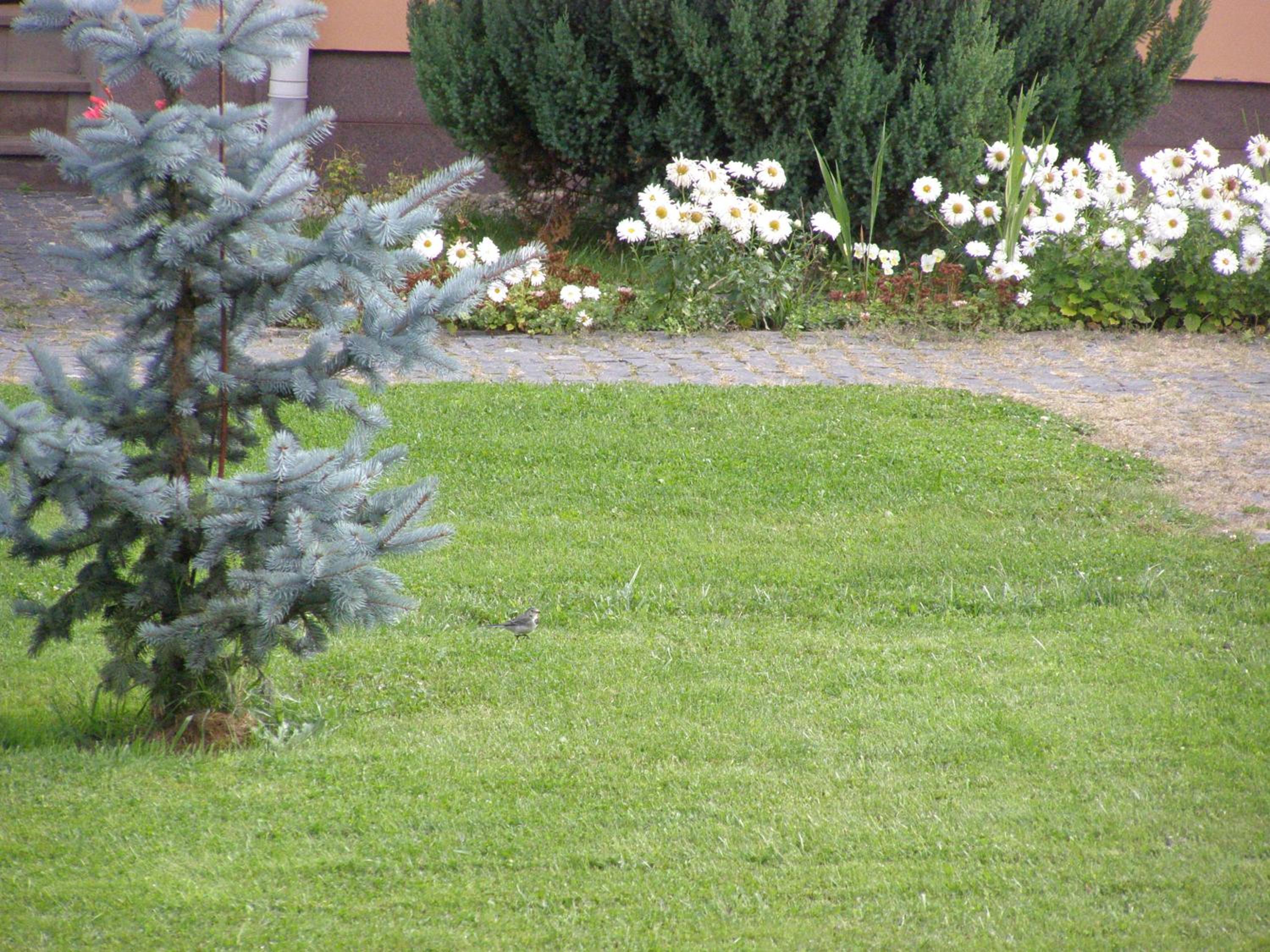 Photo 237