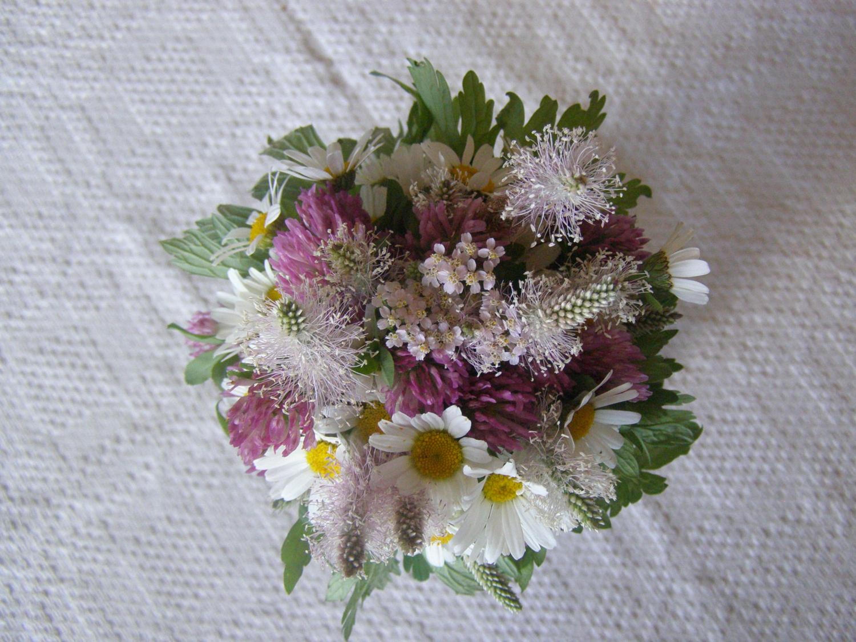 Photo 234