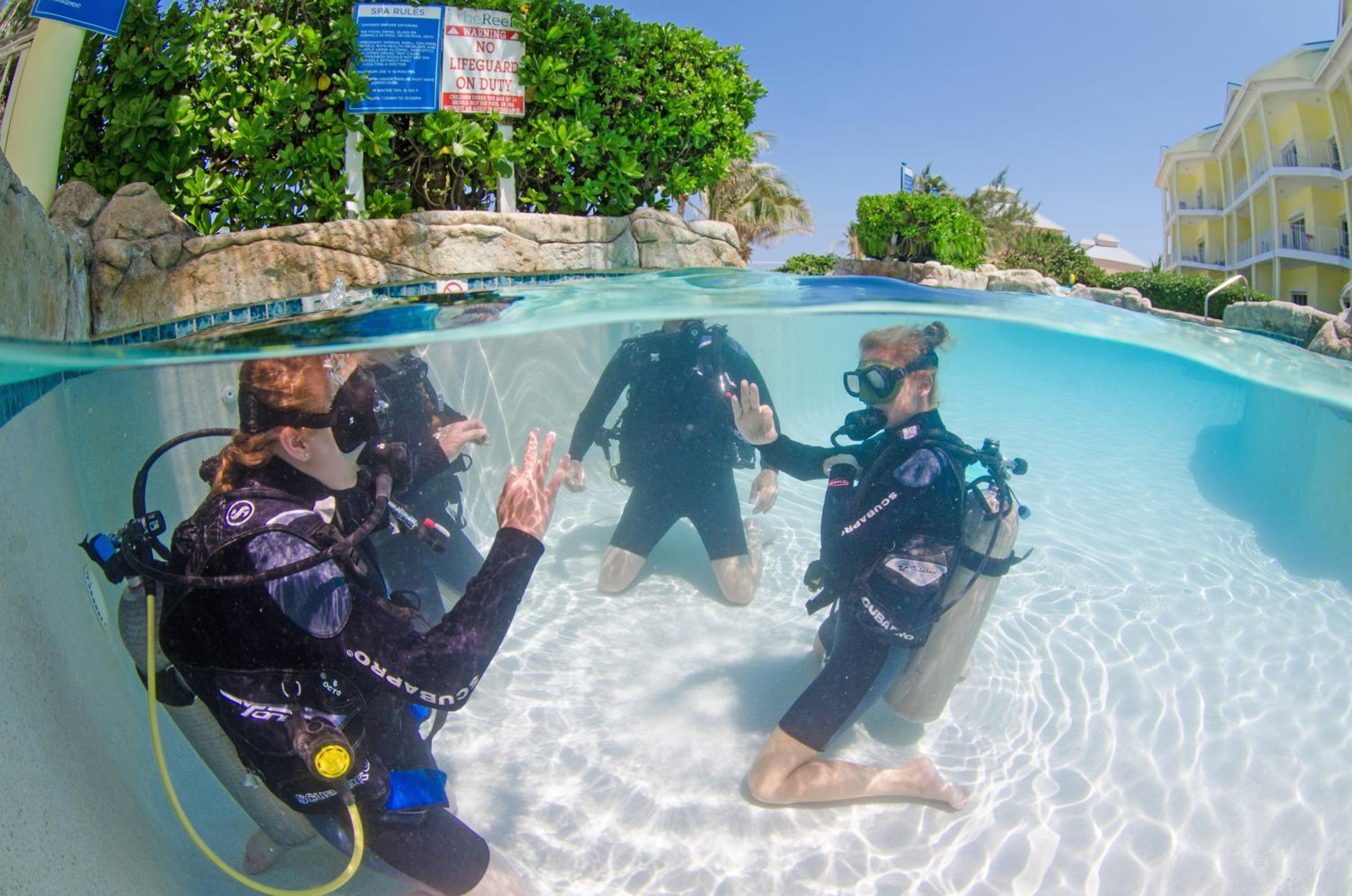 The Reef Beach Resort, East End, Grand Cayman - Photo 51