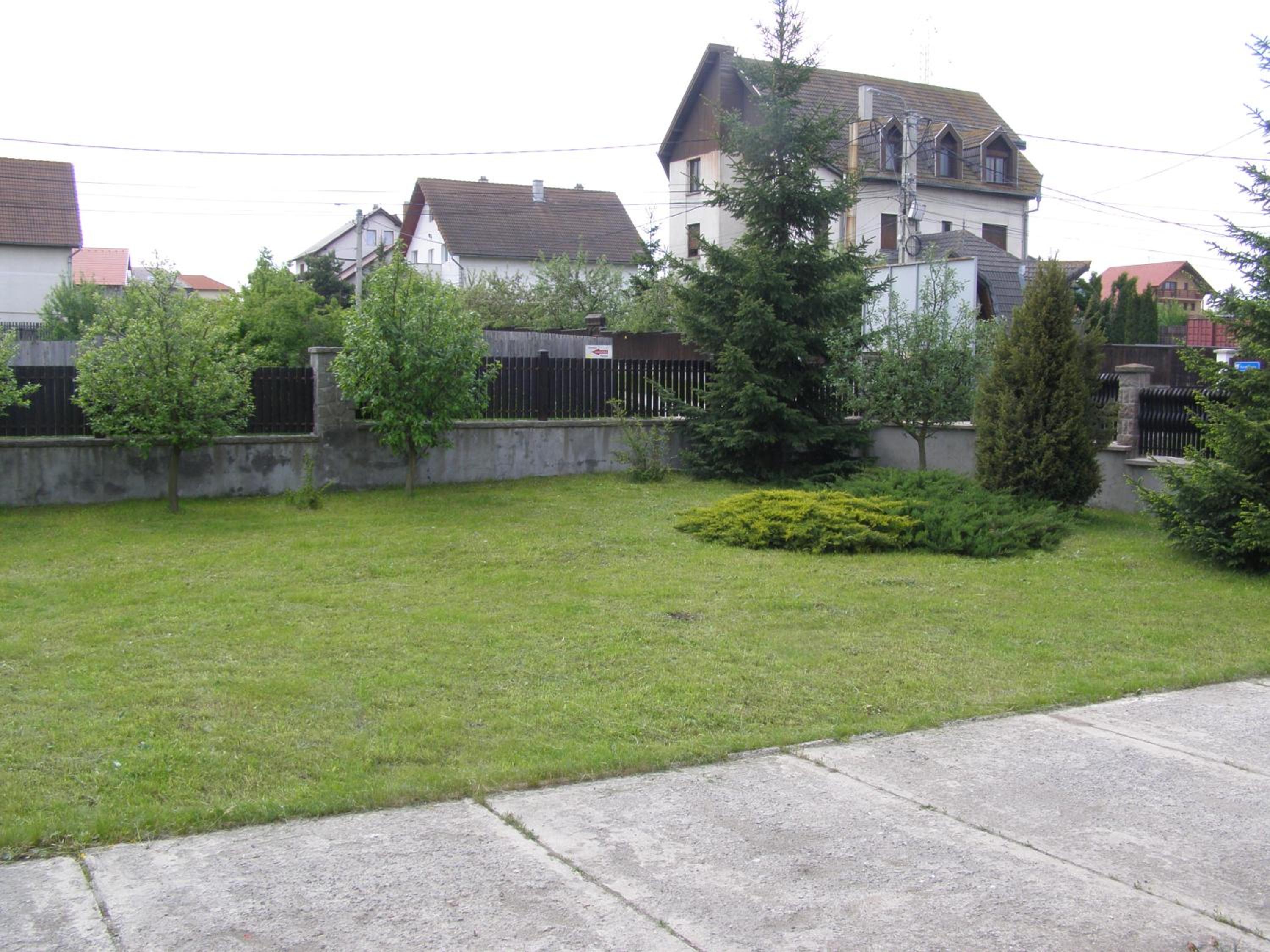 Photo 210